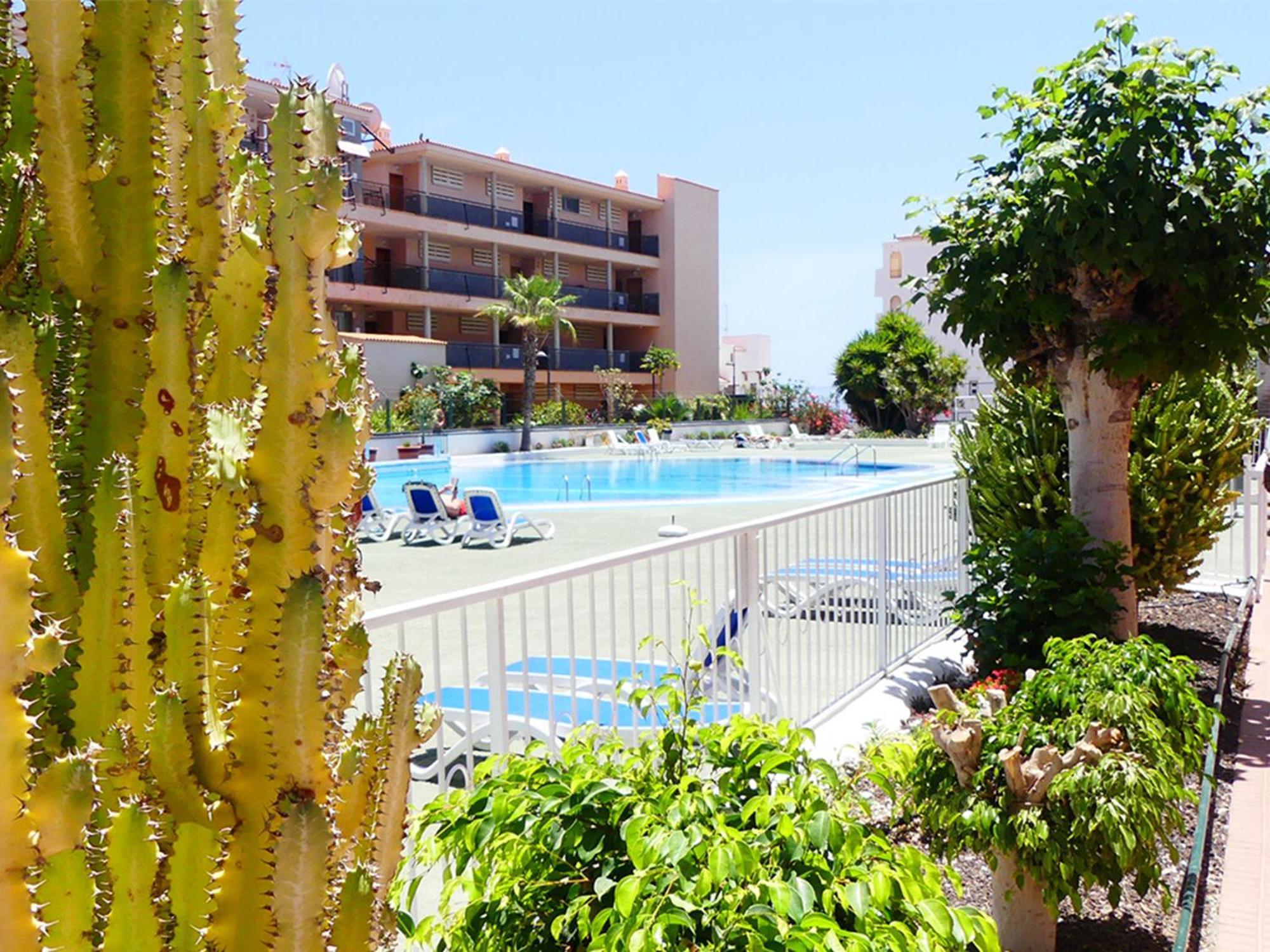 Apartamento Encantador Con Terraza, Cristianos *