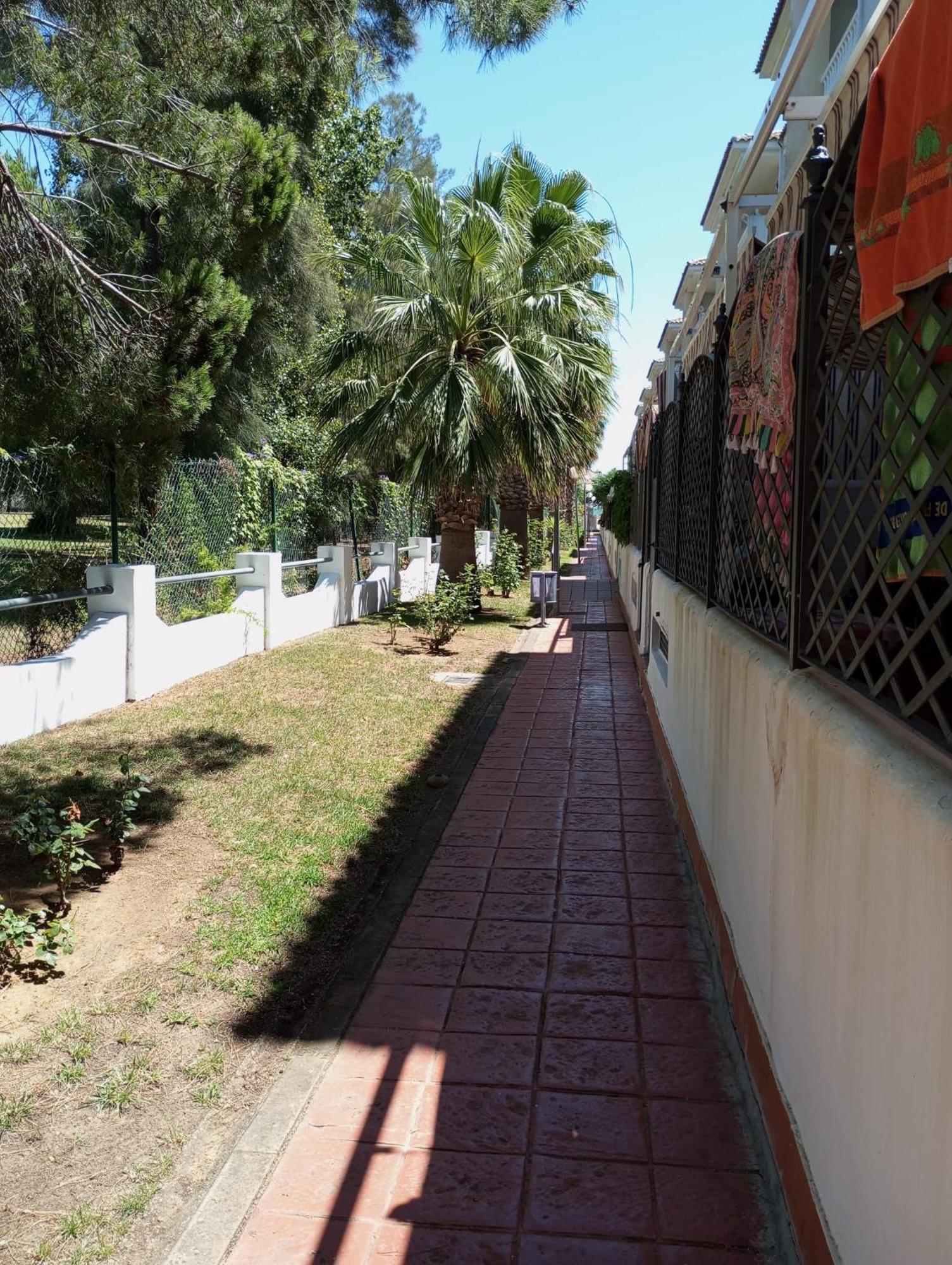 Cigueenas El Portil