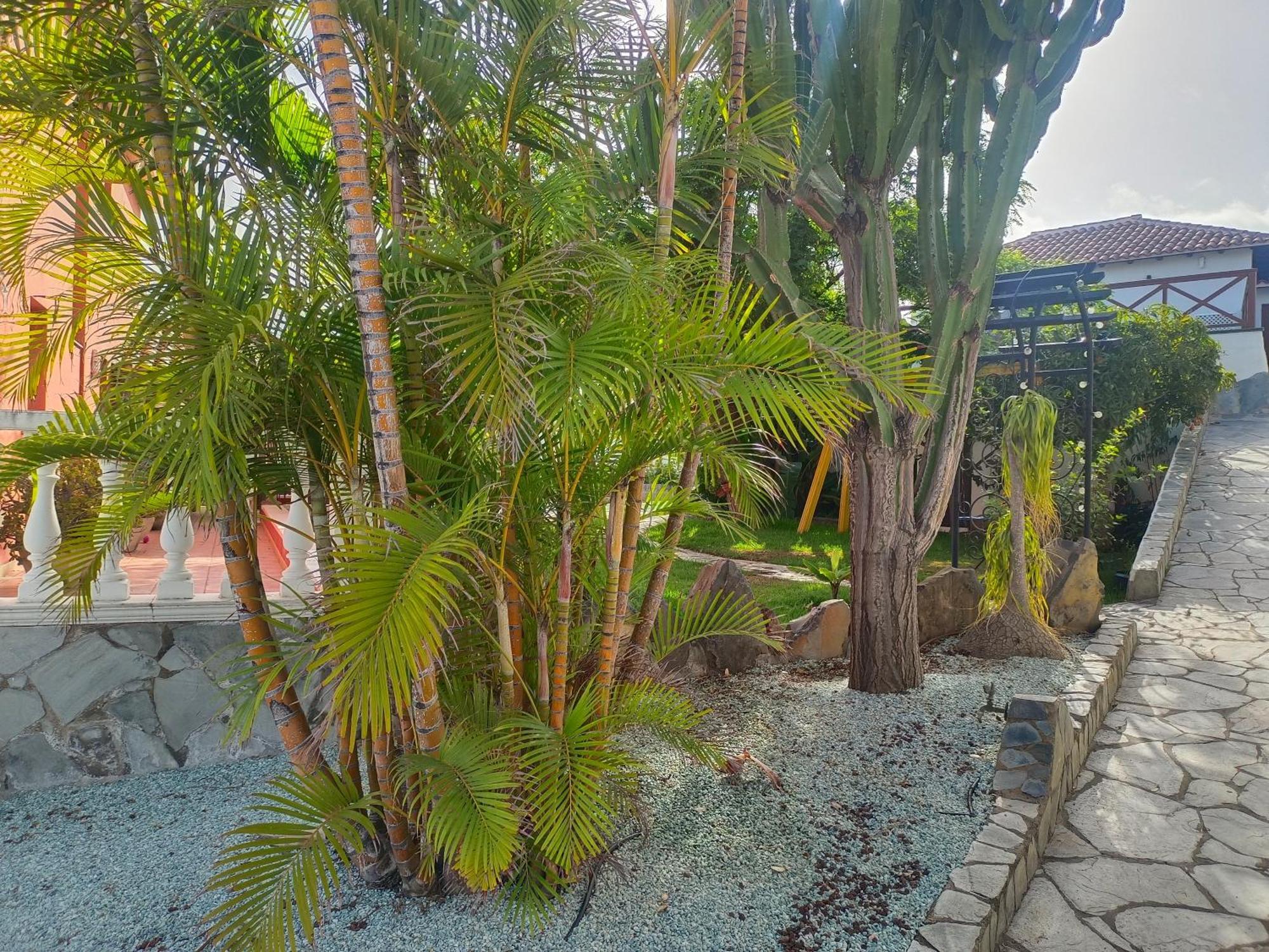 La Barbacoa Familiar De Gardel Apartment