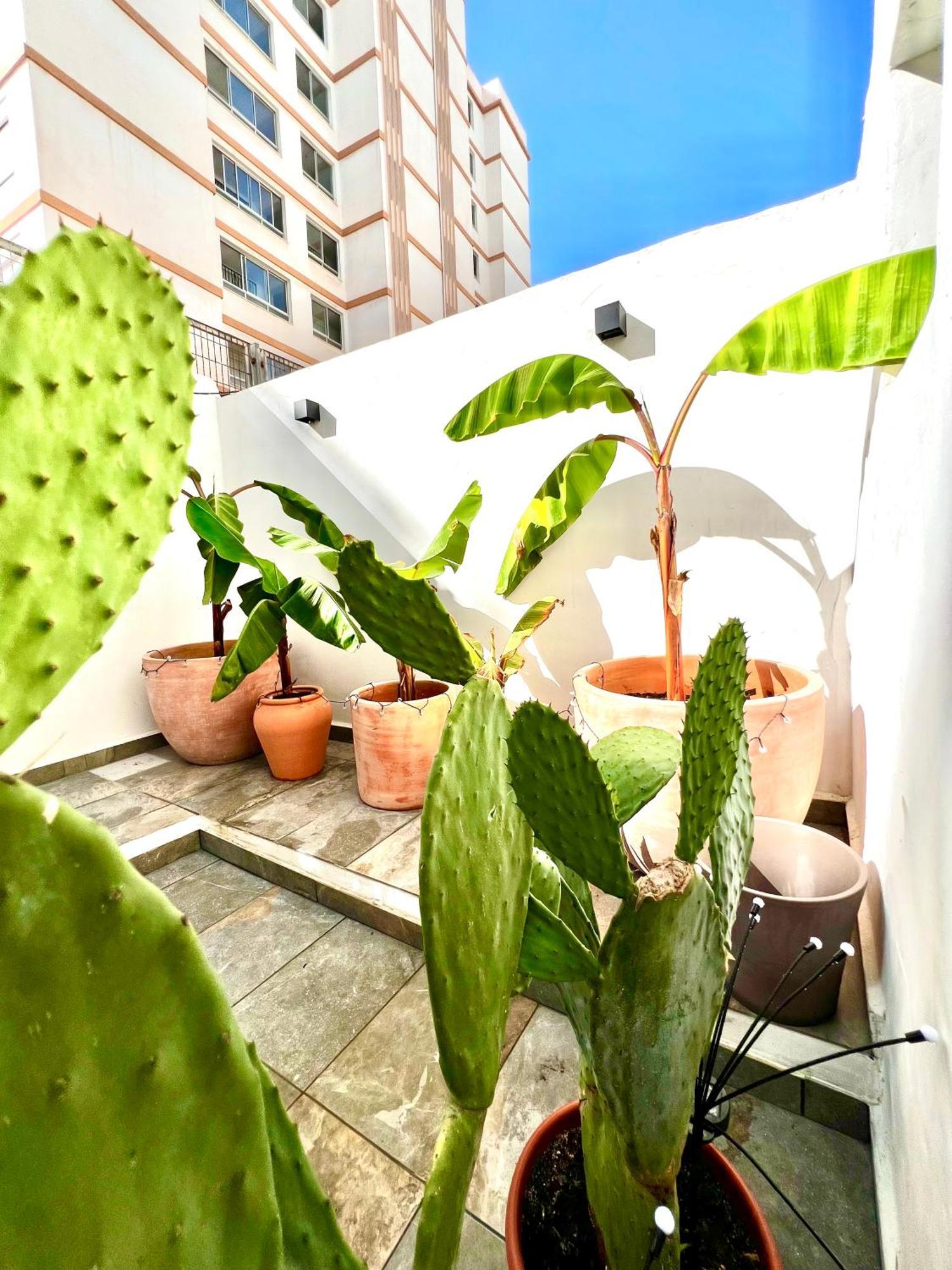 Casita Naif En A 30 Metros De La Playa Homestay