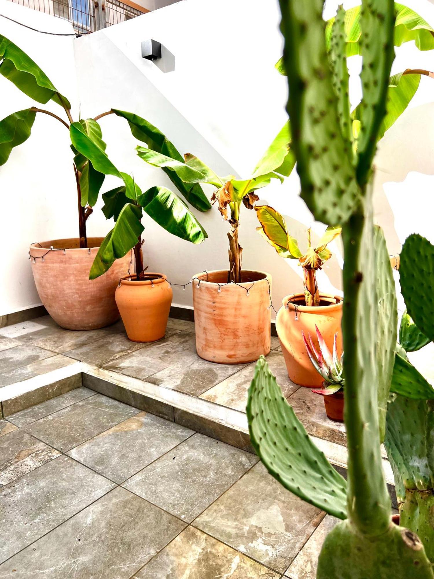 Casita Naif En A 30 Metros De La Playa *