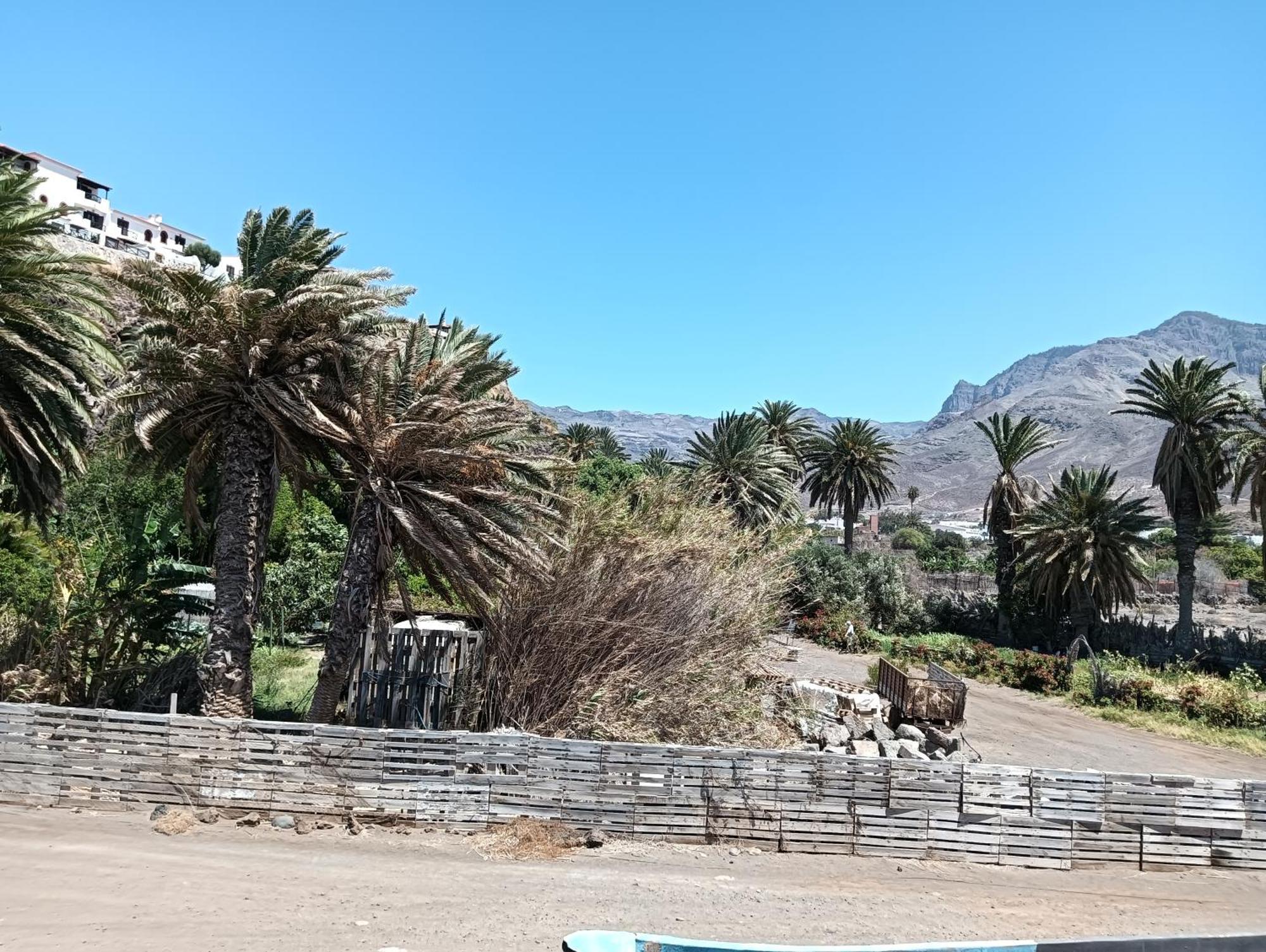La Jacaranda Apartment Agaete (Gran Canaria)