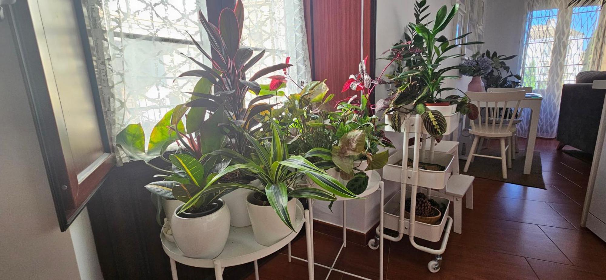 Apartment Descalzos Angel With Private Terrace Free Parking *