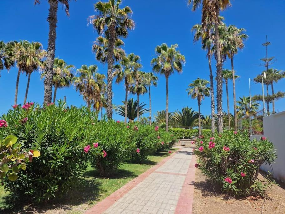 Apartment Altamira Paradise *