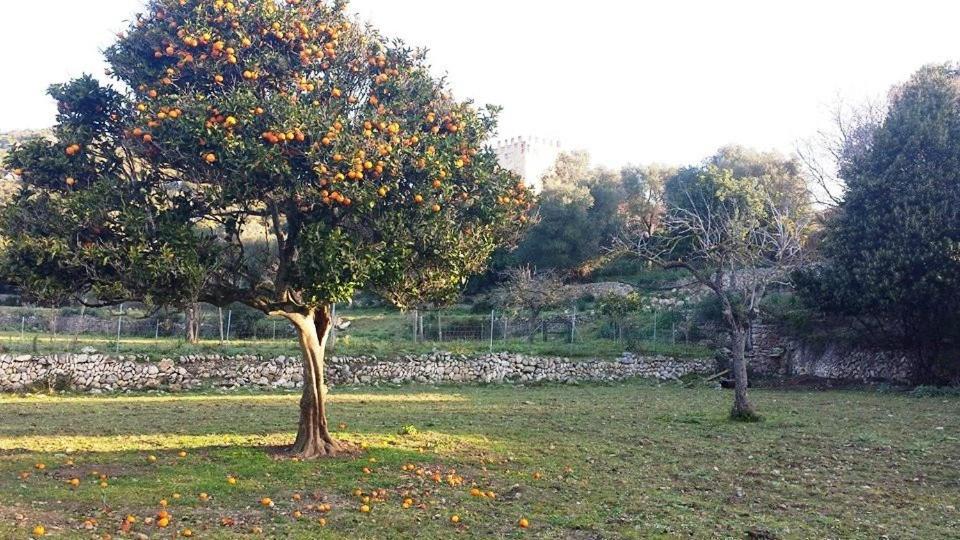 Farm stay Sa Duaia De Dalt