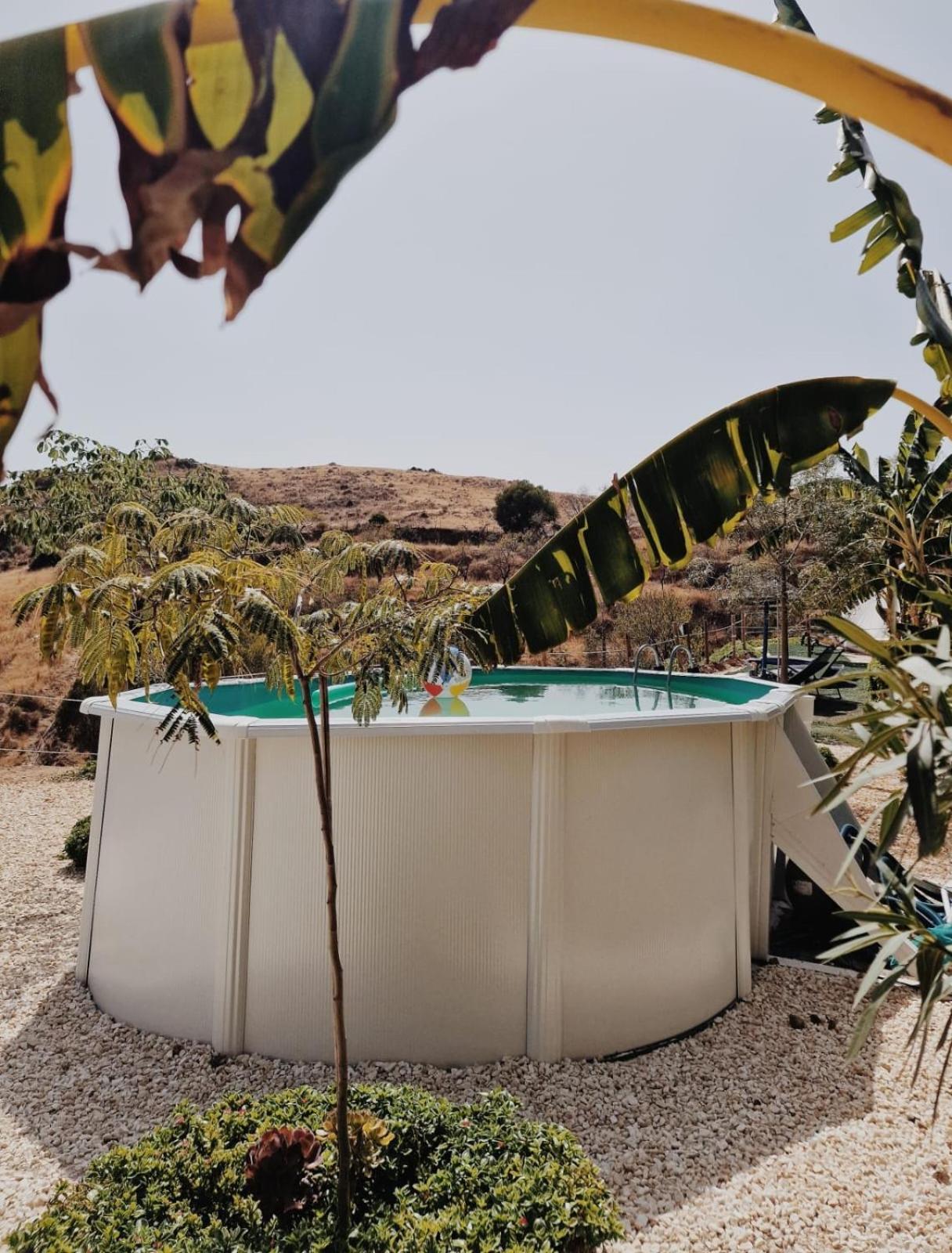 Luxury tent Glamping El Olivo