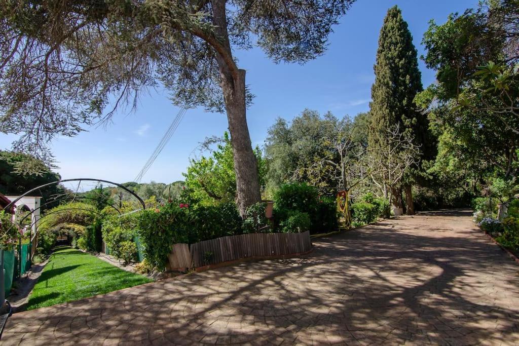 Mas Llavaneres Villa *