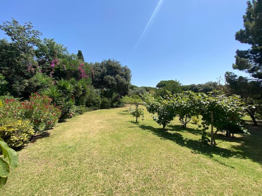 Mas Llavaneres Villa *