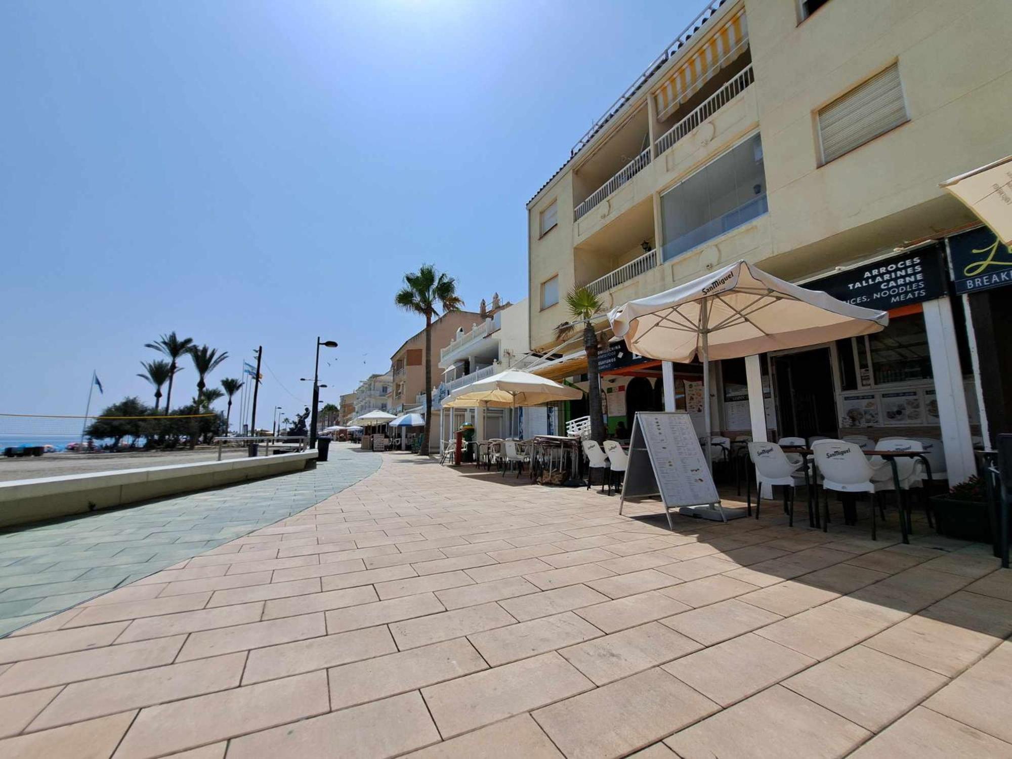 Small Oasis #2 - Manilva *