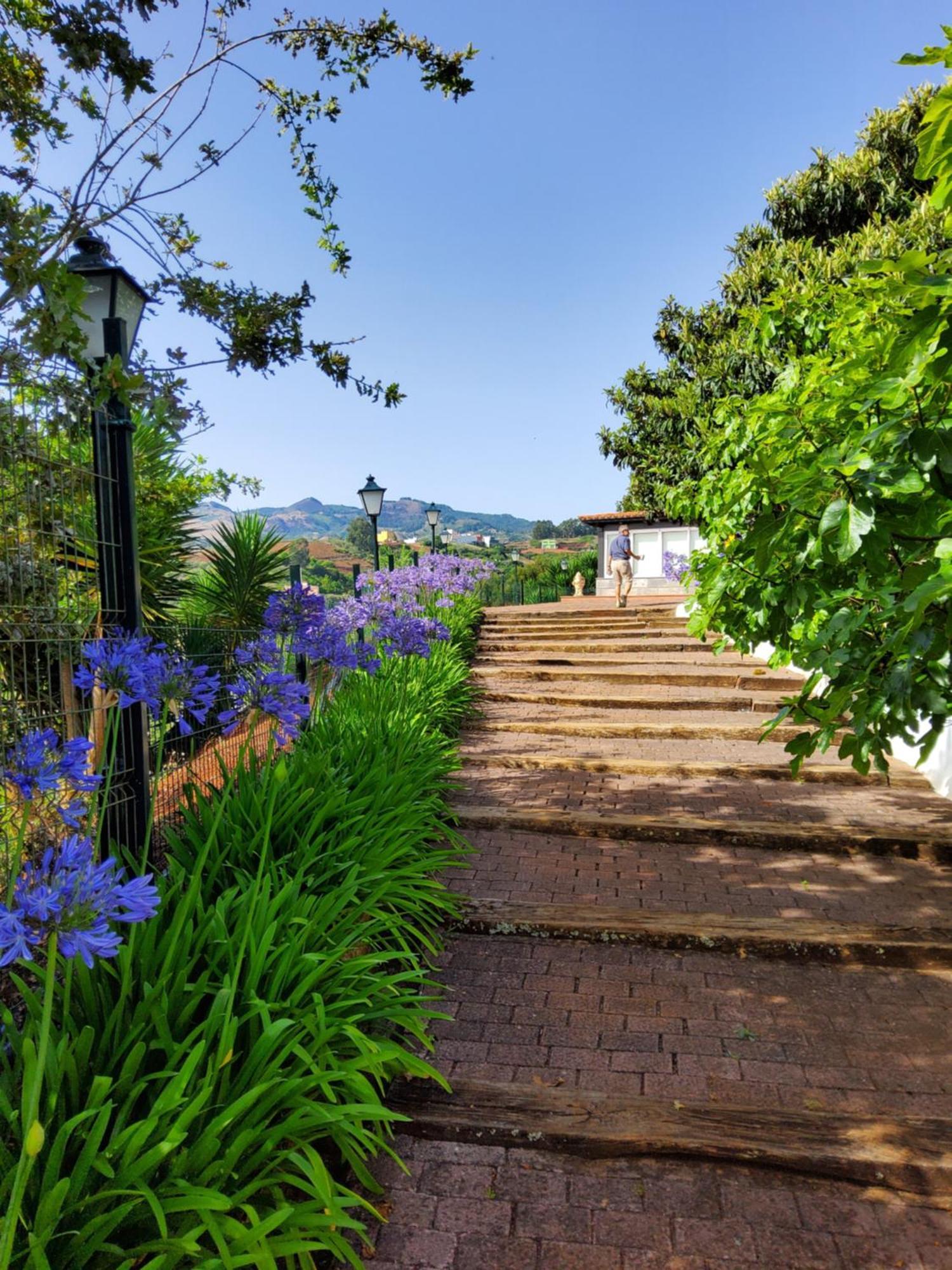 Villa Ecofinca Selva Doramas Santa María de Guía de Gran Canaria