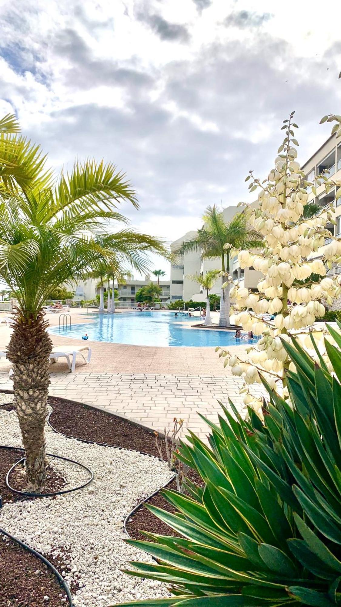 Palmeritas Mar Tenerife Sur Apartment *