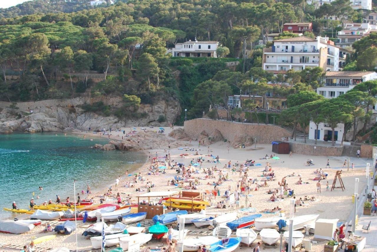 Apartment Beach 2 - Terrace Penthouse On The Beach Tamariu