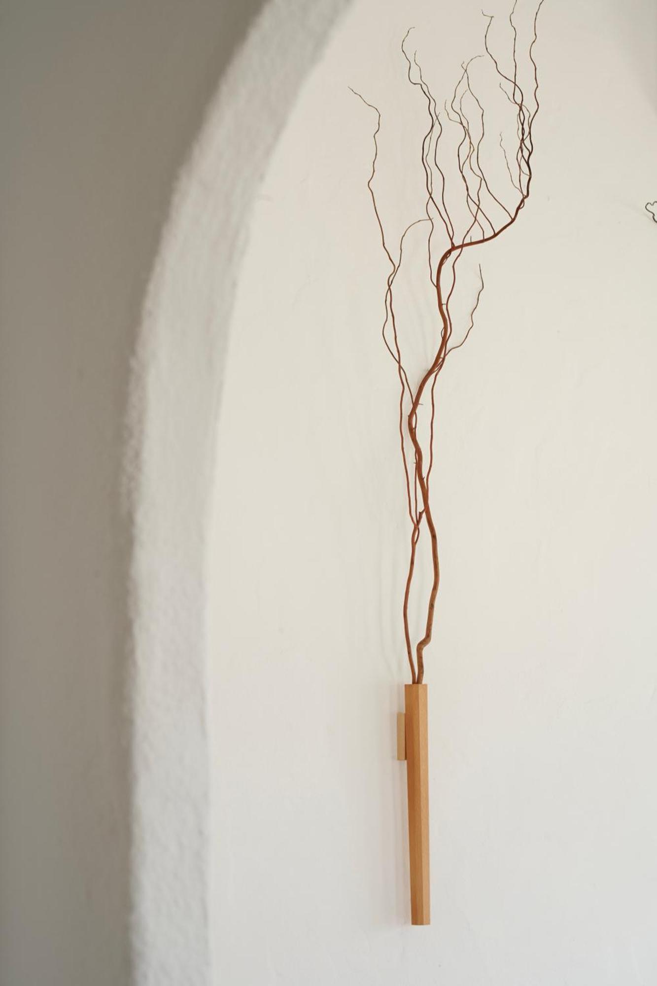 Rural Casapina Country house