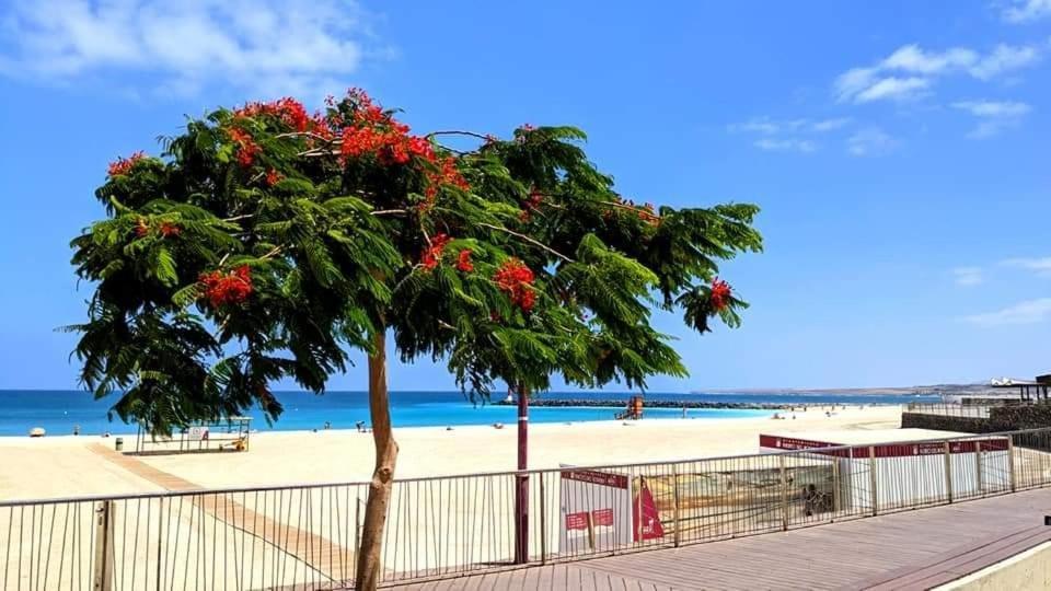 Casa La Ola Origo Mare -