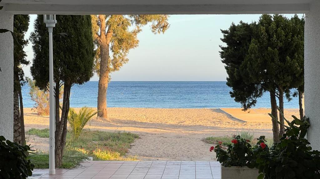 Apartamento El Jardin Del Camaleon