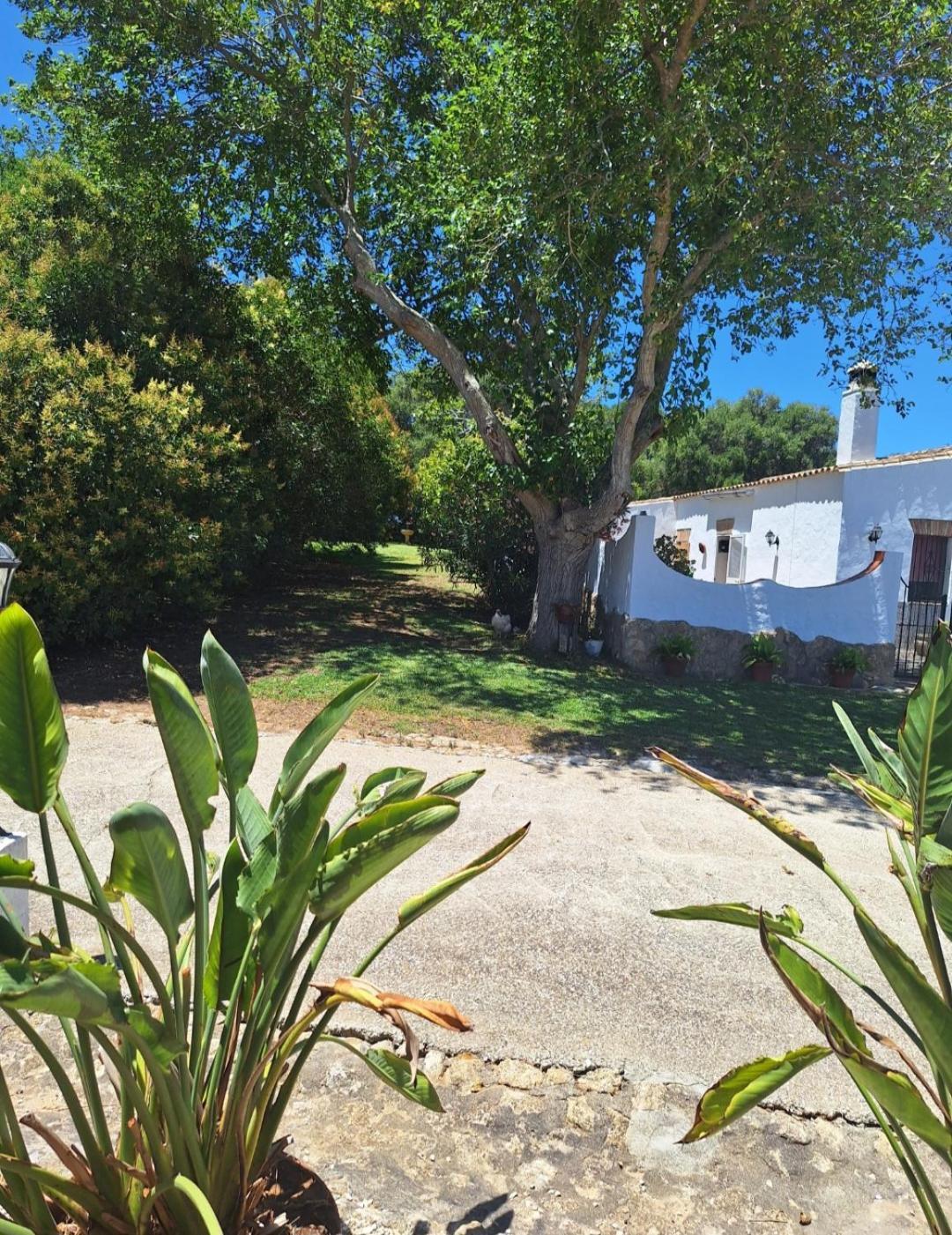 Santamaria Con Piscina Y Wifi * Vejer de la Frontera
