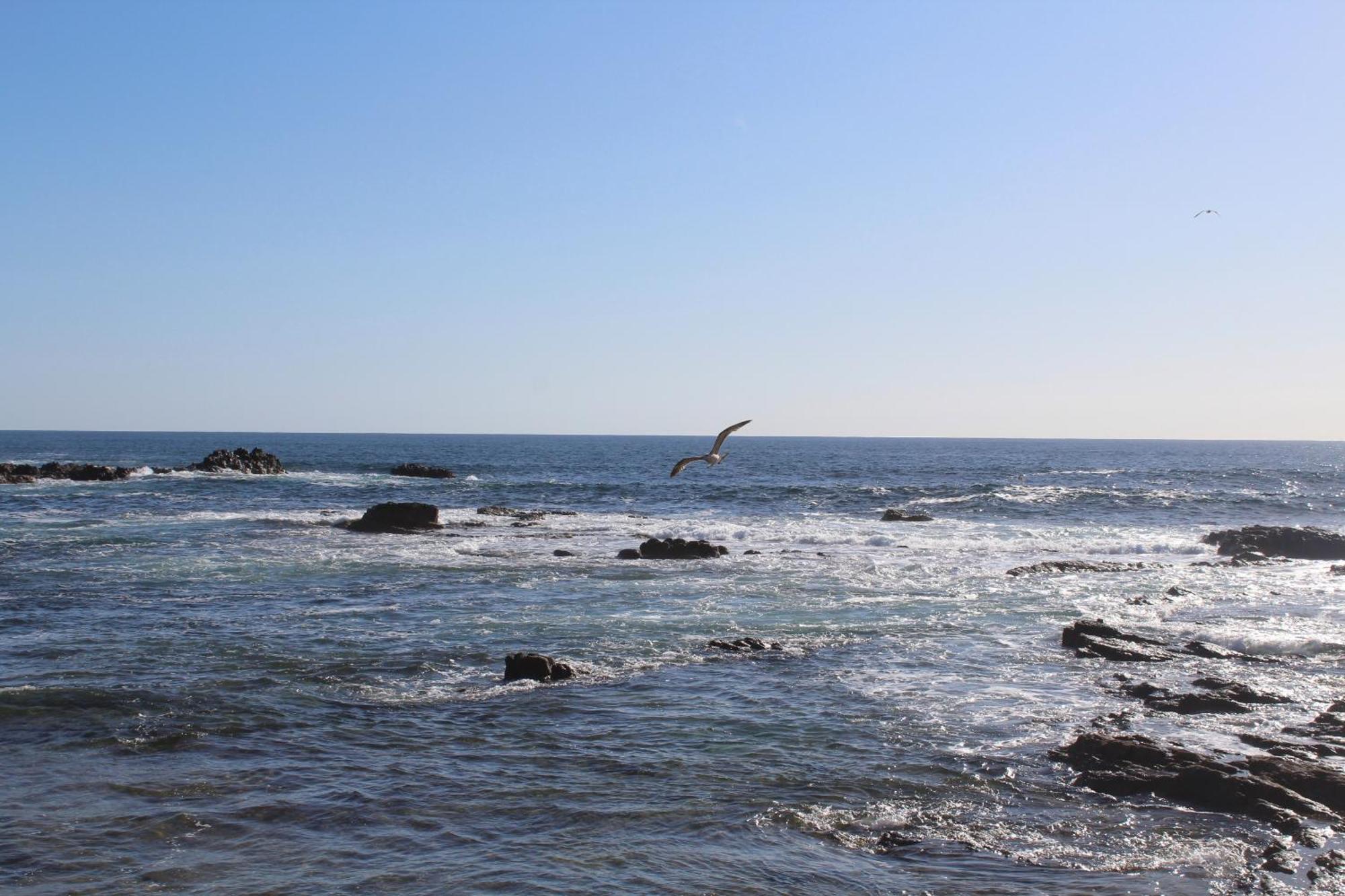 Vitaminsea El By Privilege Bay Apartamento Cotillo