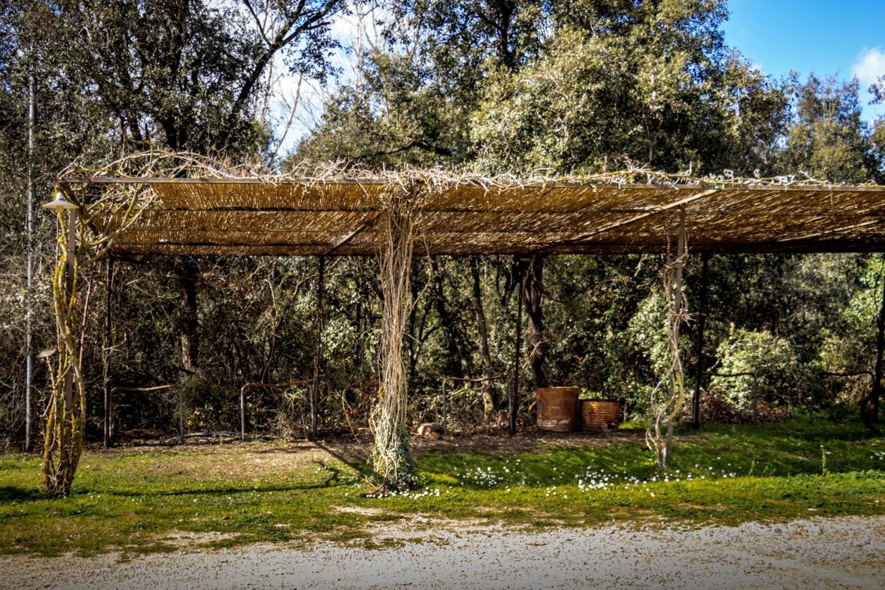 Mas Dalia - - Girona - Monells, Emporda Monells