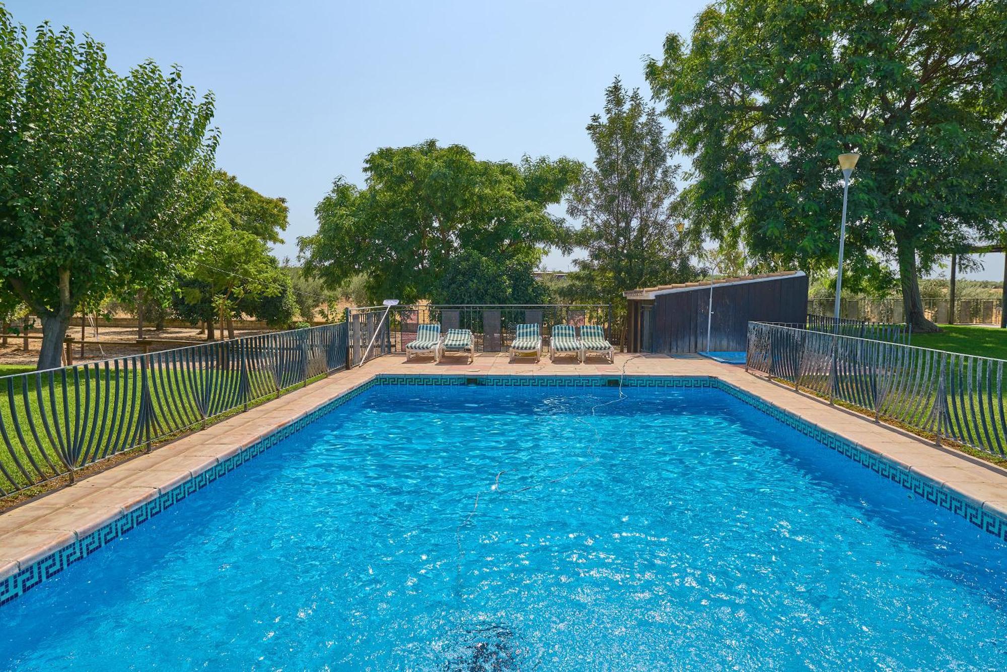 La Piscina Y Jardin