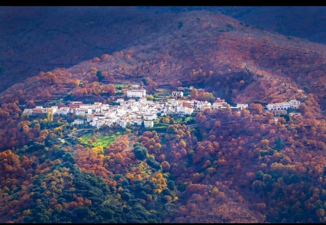 La Casita * Pujerra
