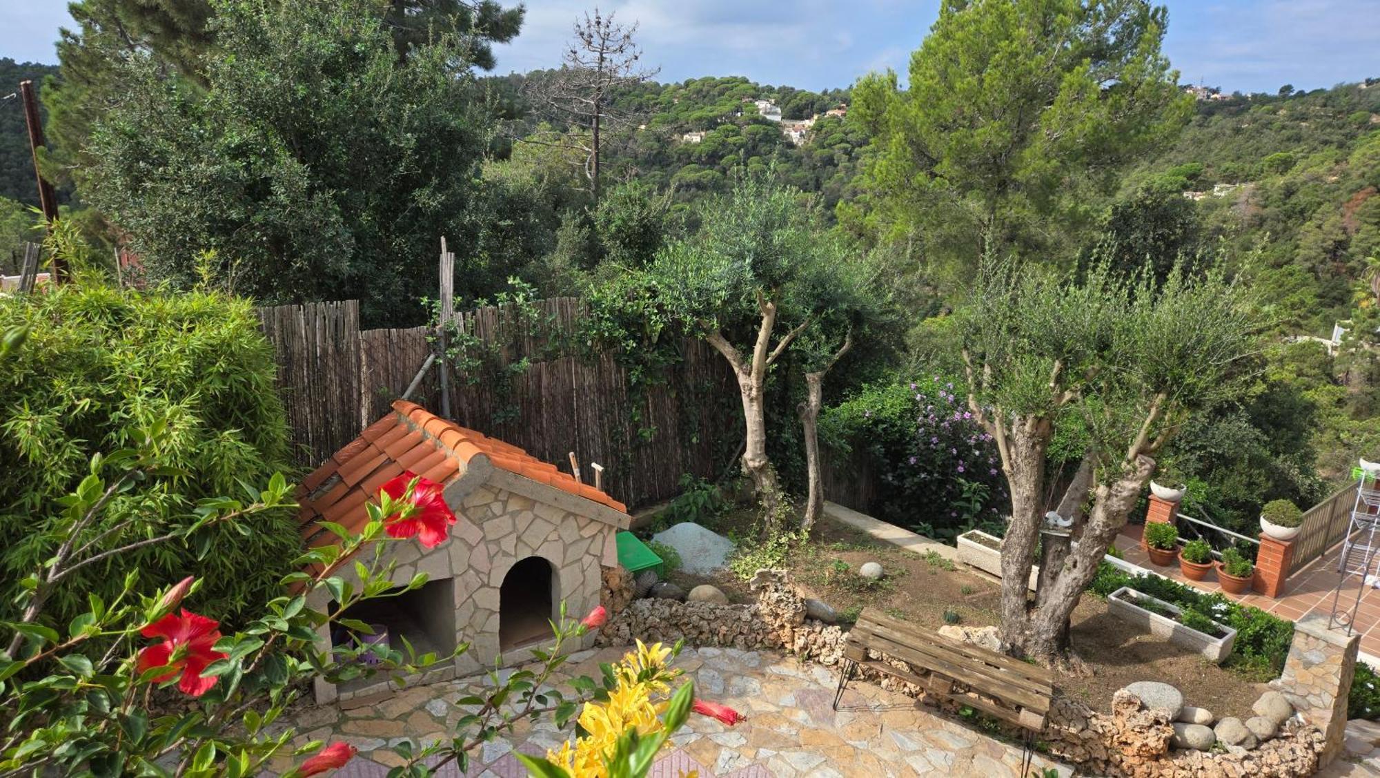 Guest house Paradise Lloret