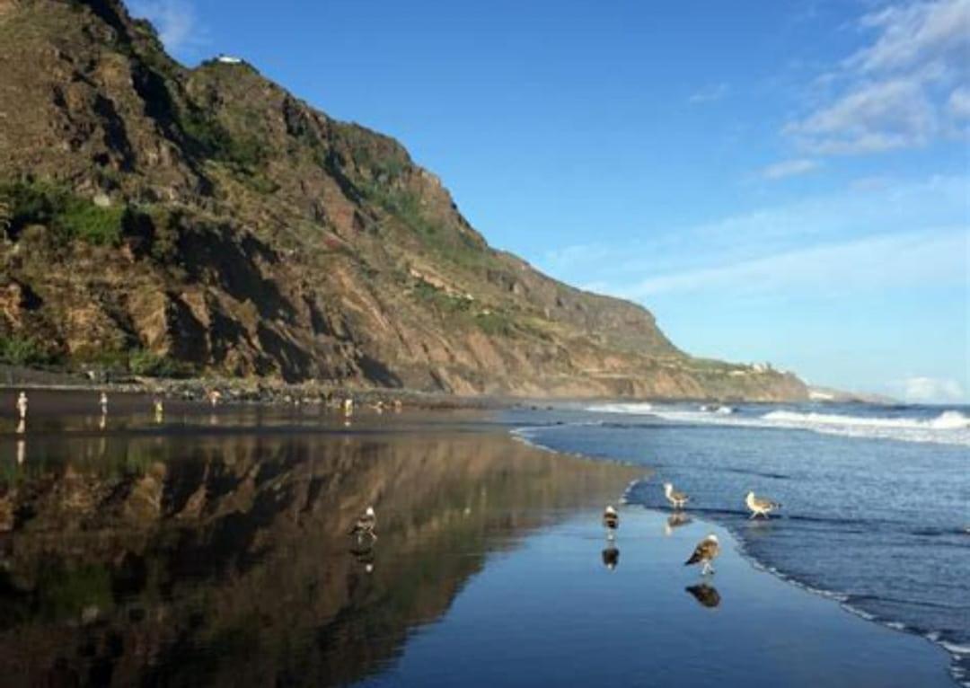 La Mar Los Realejos