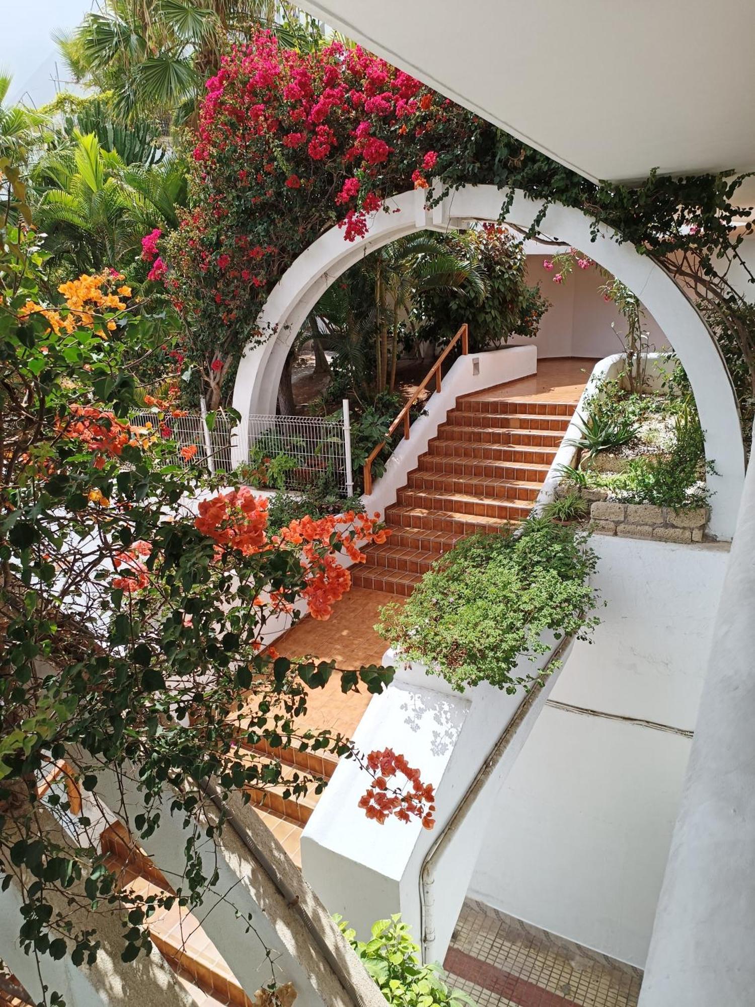 Apartment Parque Royal 3 Apartamento *