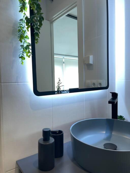 Skade Zona Baja Apartamento