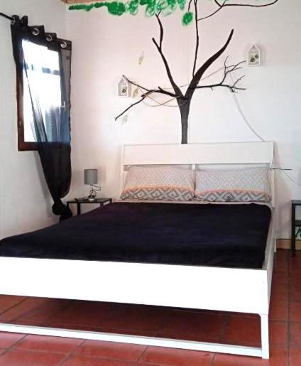 Bed and breakfast Amigos De La Naturaleza Las Manchas (La Palma)