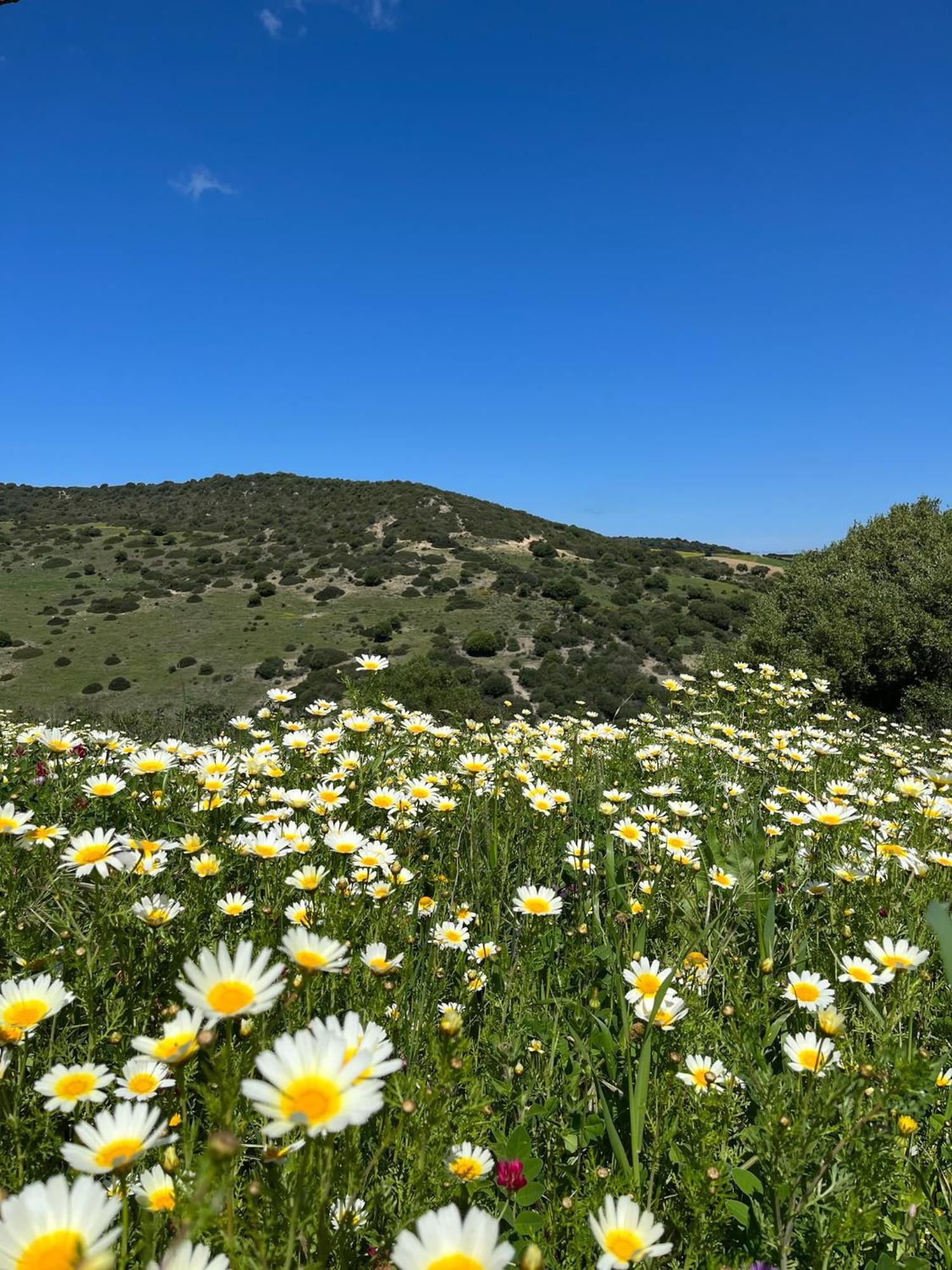 Villa La Vina *
