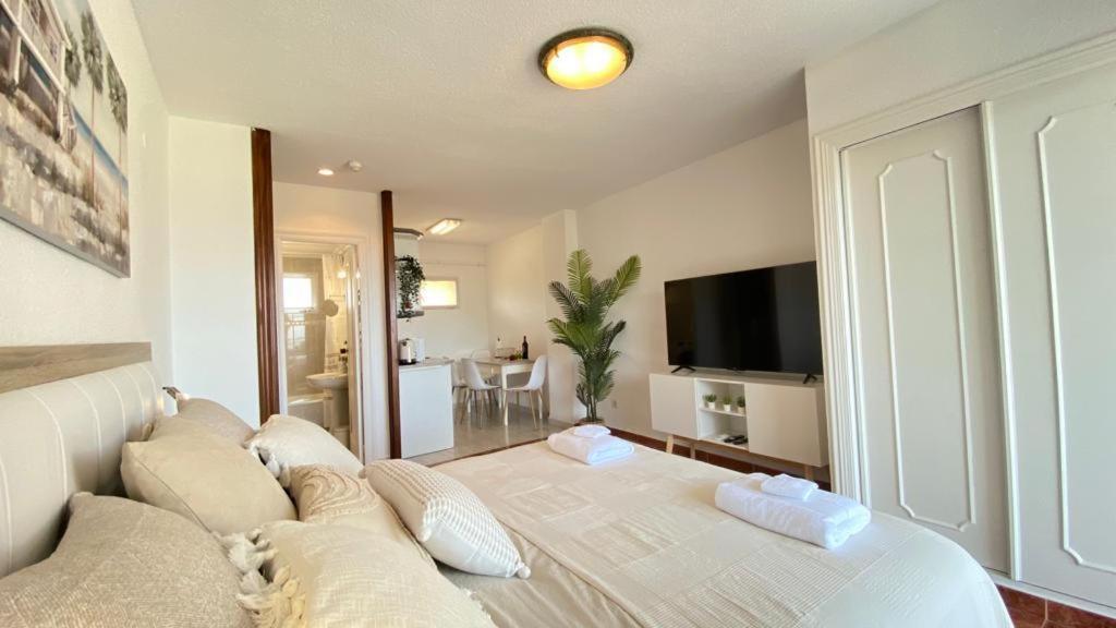 Apartamento Paradise Costablanca1