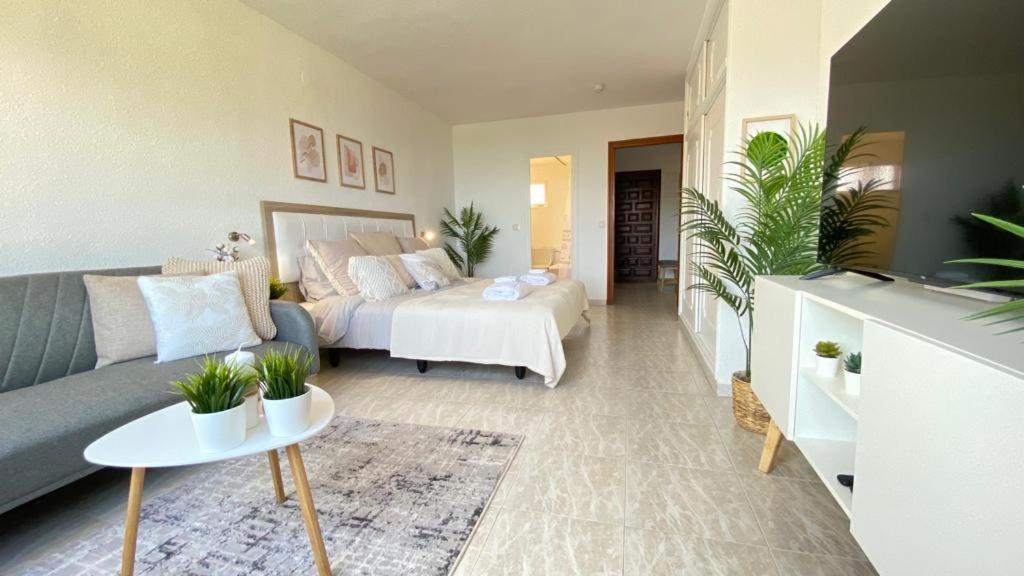 Apartamento Paradise Costablanca1 *