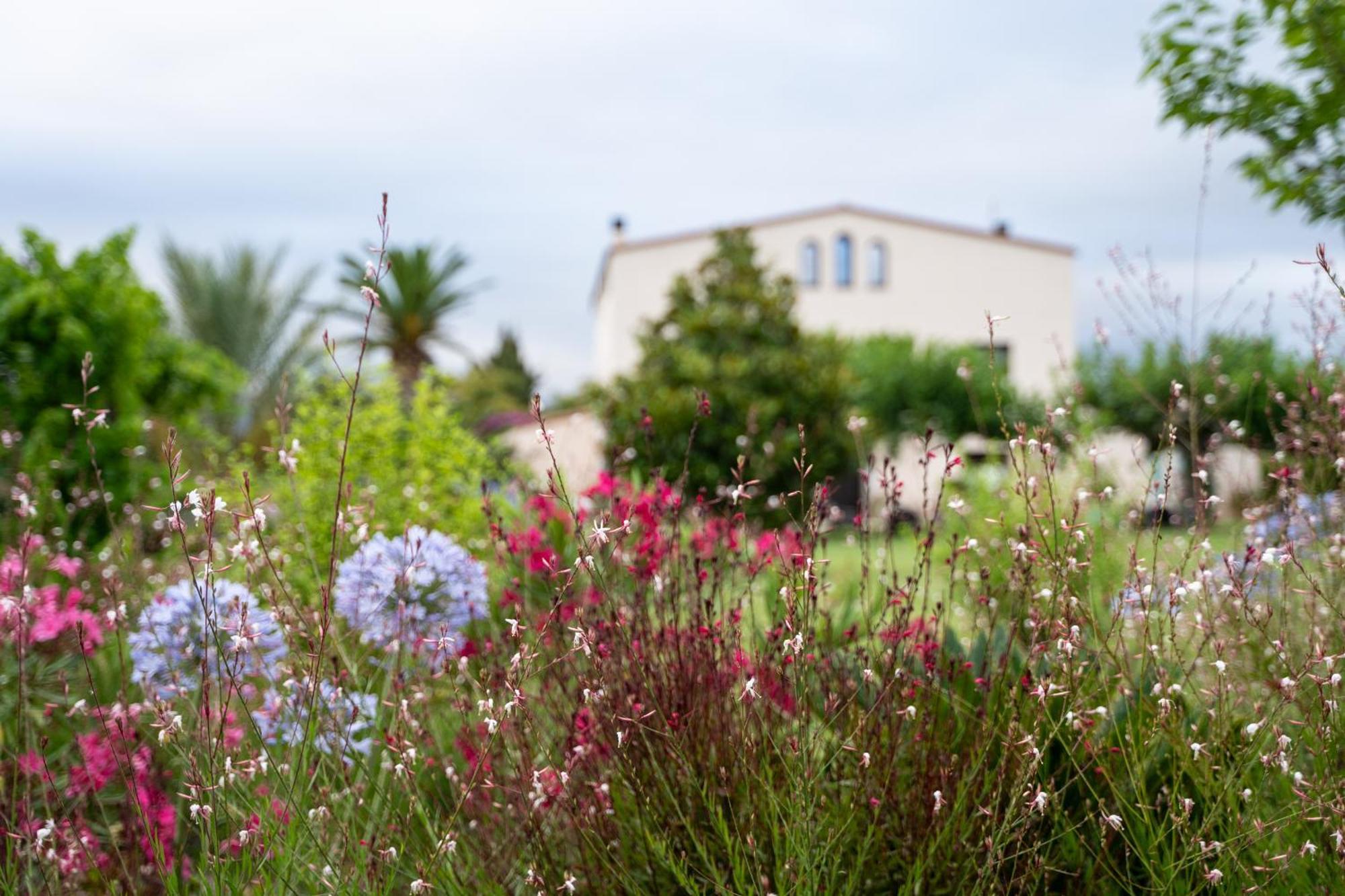 Mas Montbrio Belvedere Casa rural
