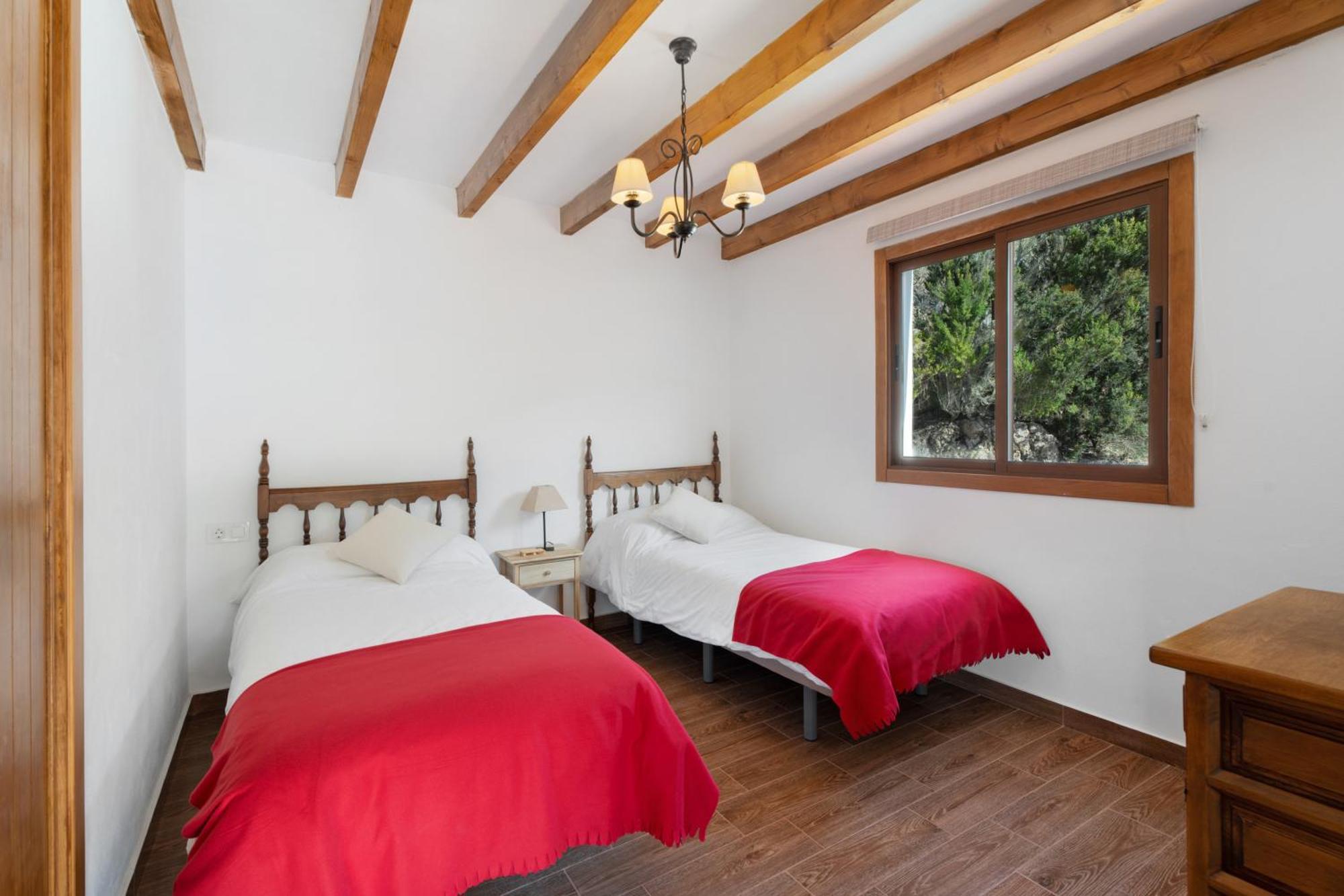Amelia House Roque Negro