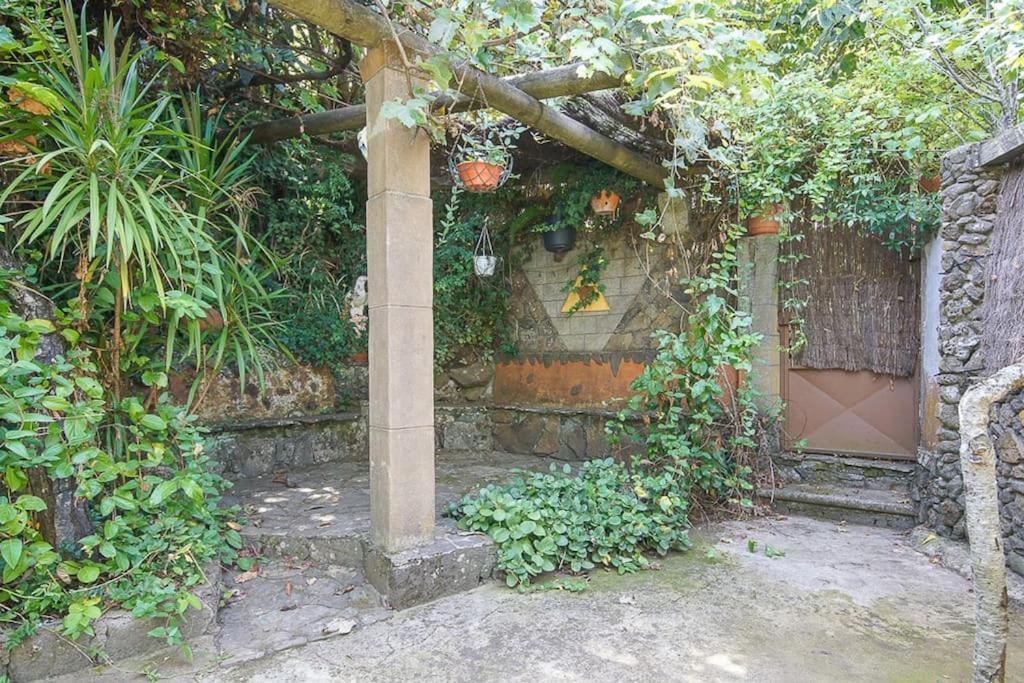 Matos, Canarian House In Chalet *