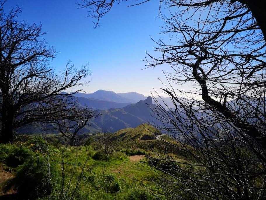Matos, Canarian House In Chalet *