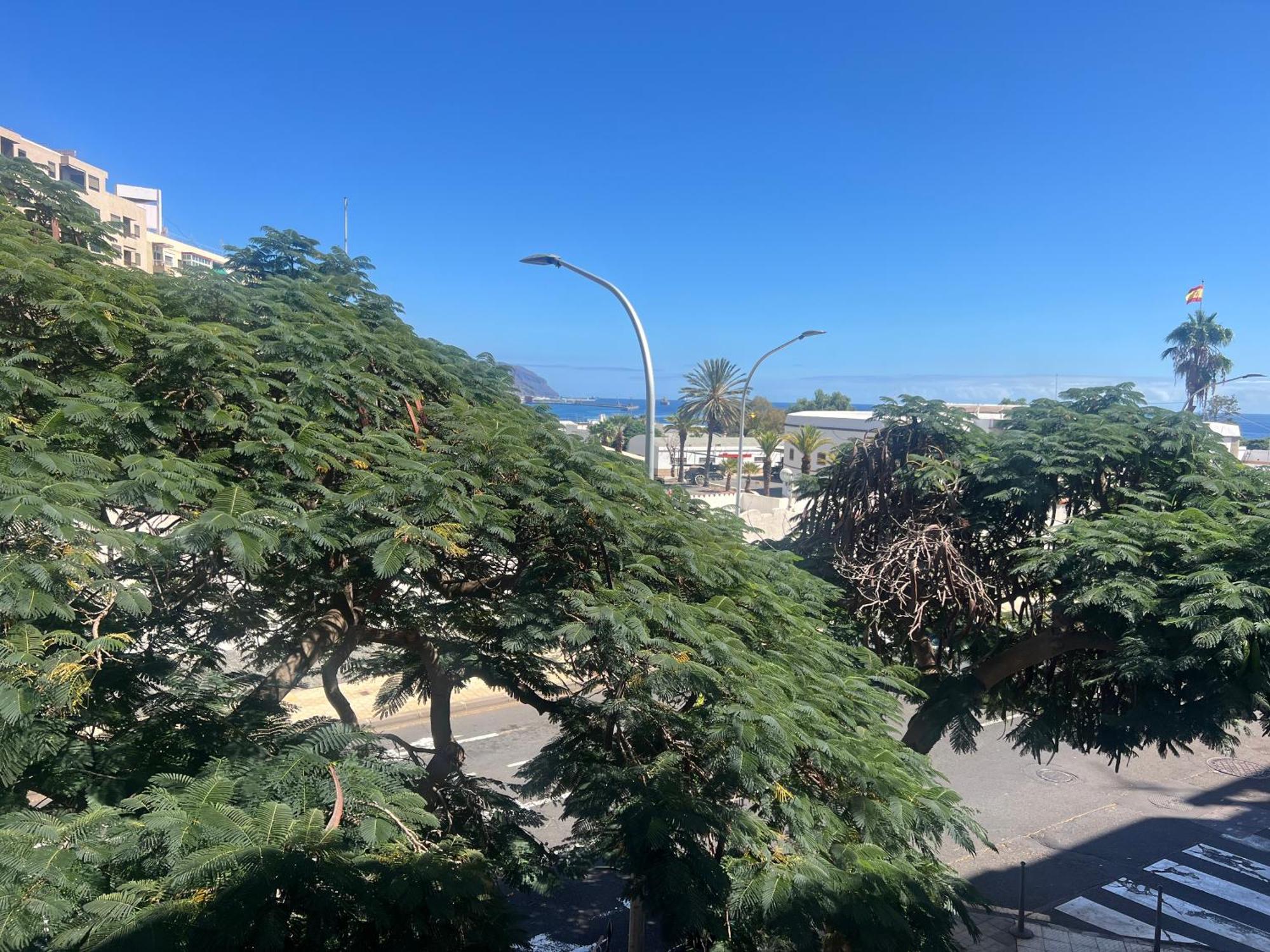Toscal Santa Cruz de Tenerife