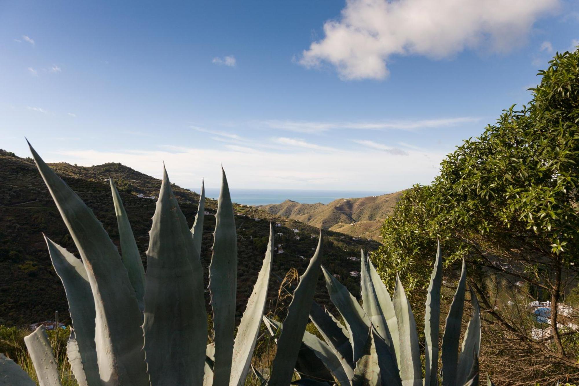 Al Campanario Bed & Breakfast Competa