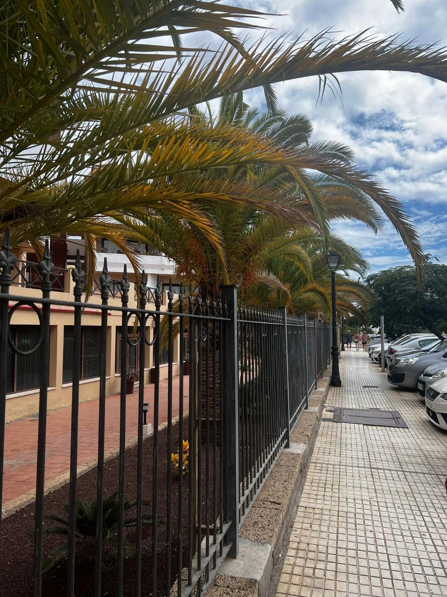 Apartment Sunny San Miguel de Abona