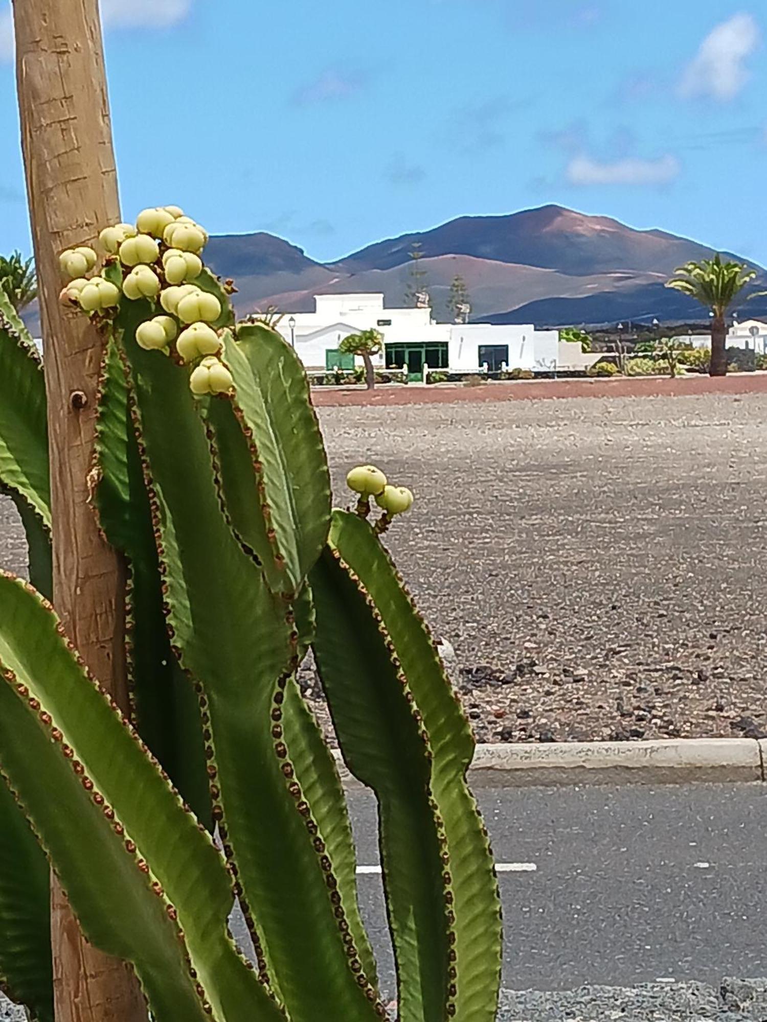 Casa Volcanes Сasa de vacaciones *