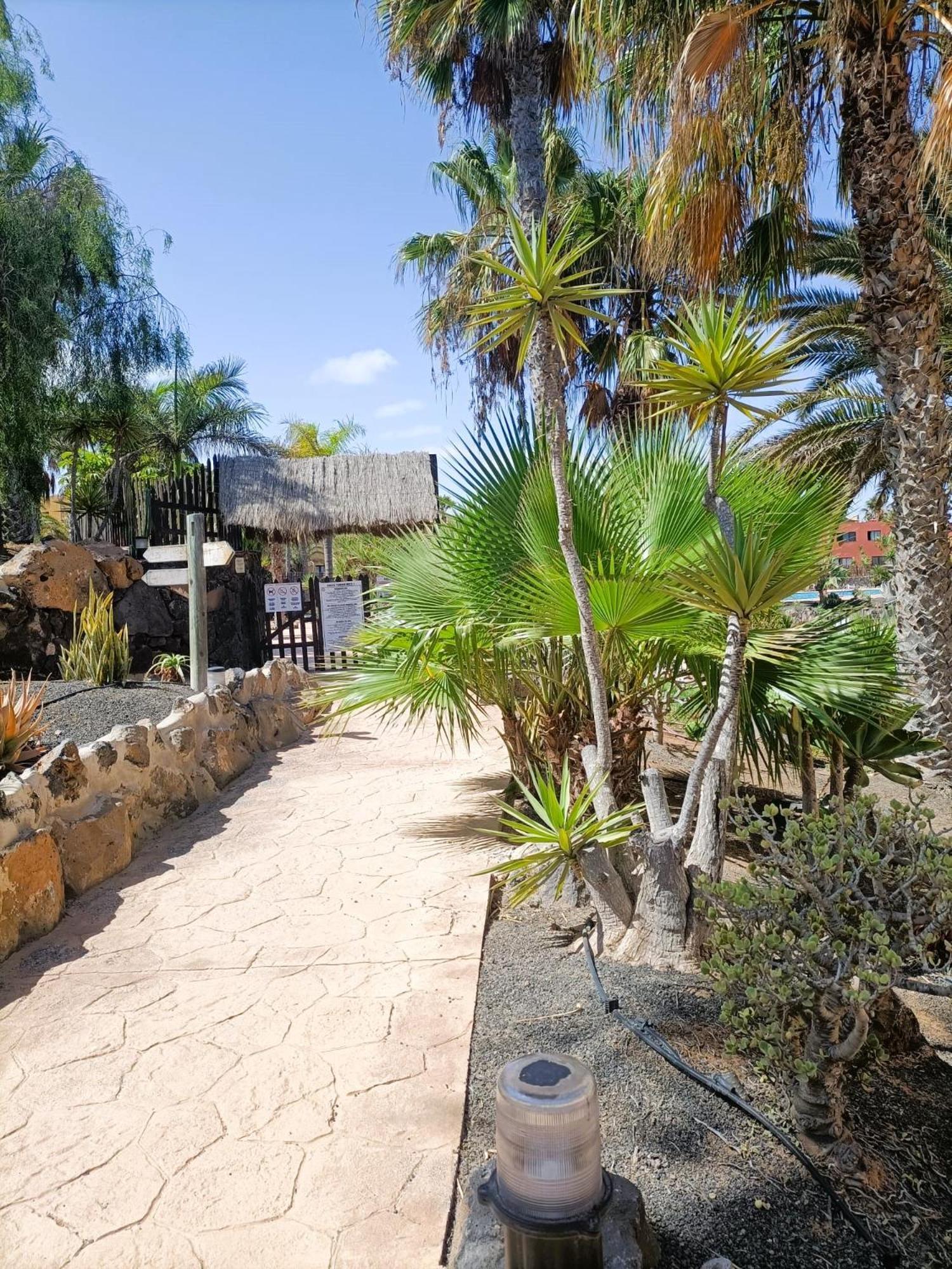 Casa In Oasis Tamarindo Сasa de vacaciones *
