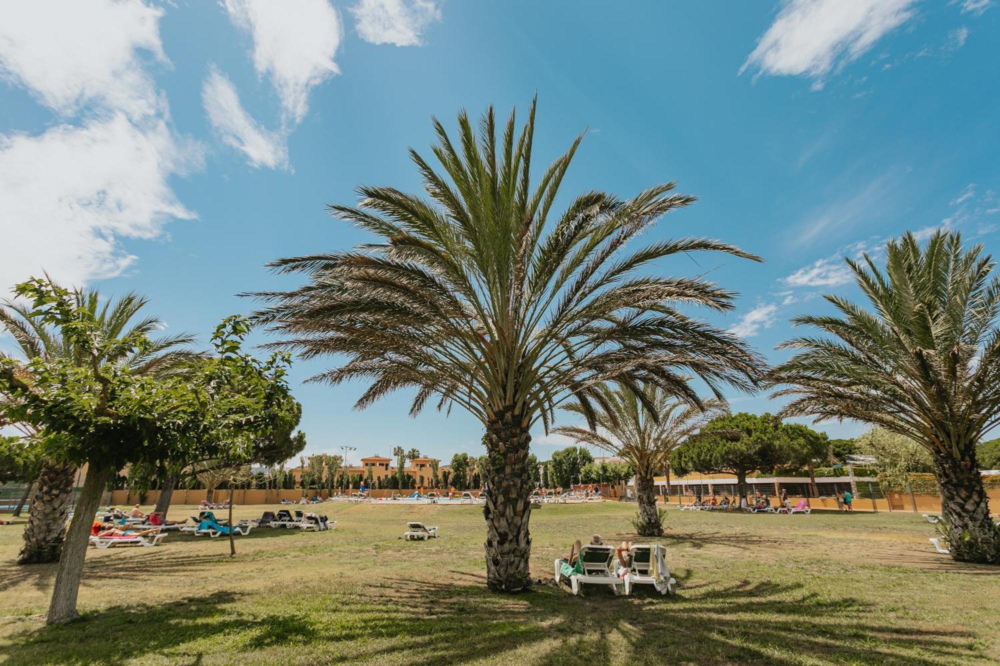 Campsite & Platja Brava