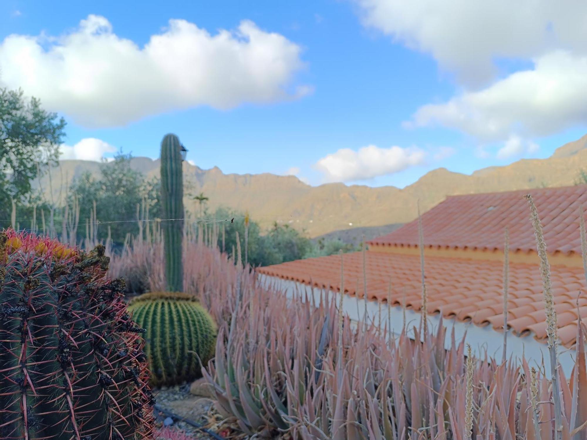 La Casa De La Pradera * Santa Lucia De Tirajana