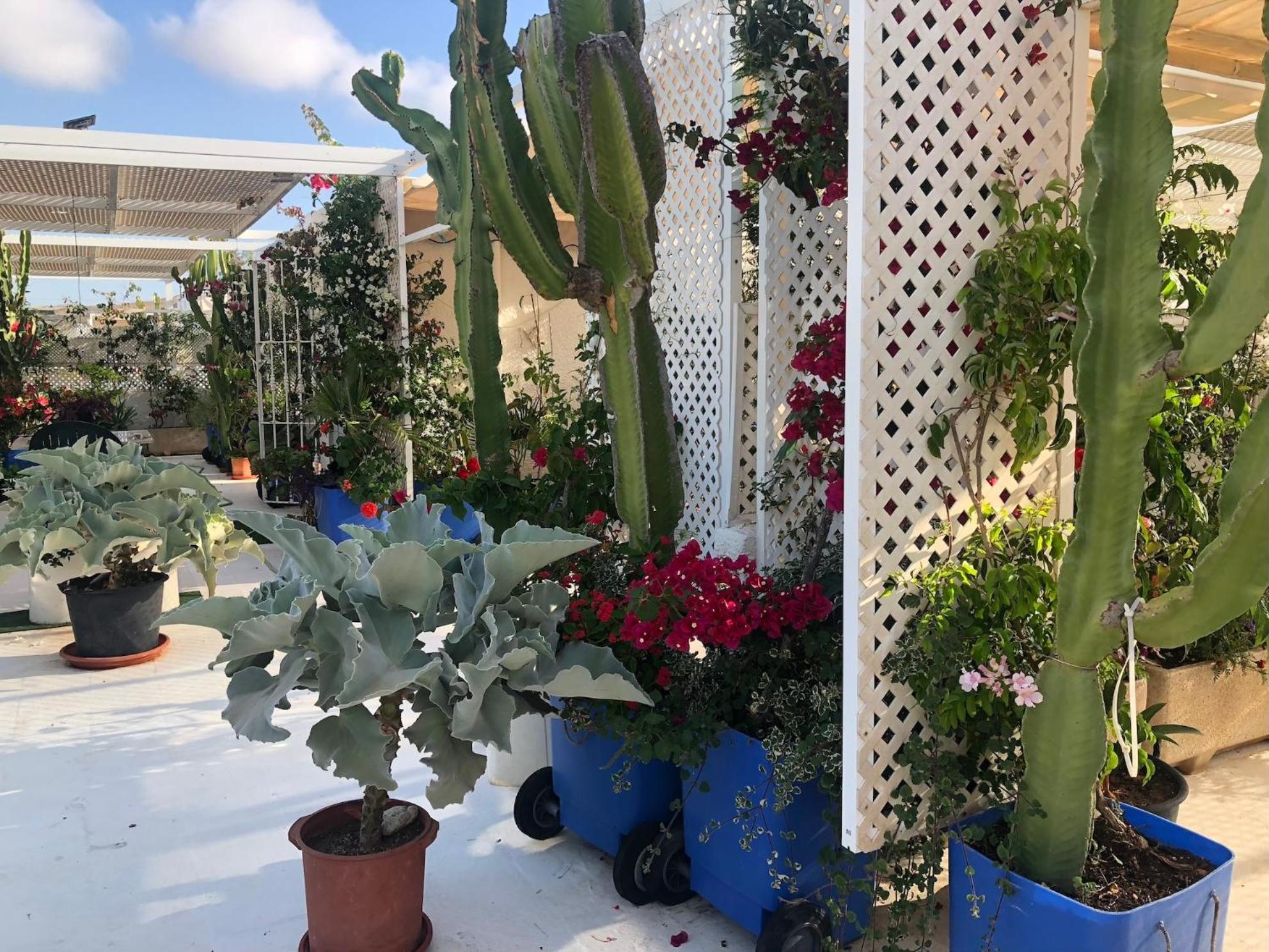 Apartamento El Jardin Del Camaleon Agua Amarga (Almeria)