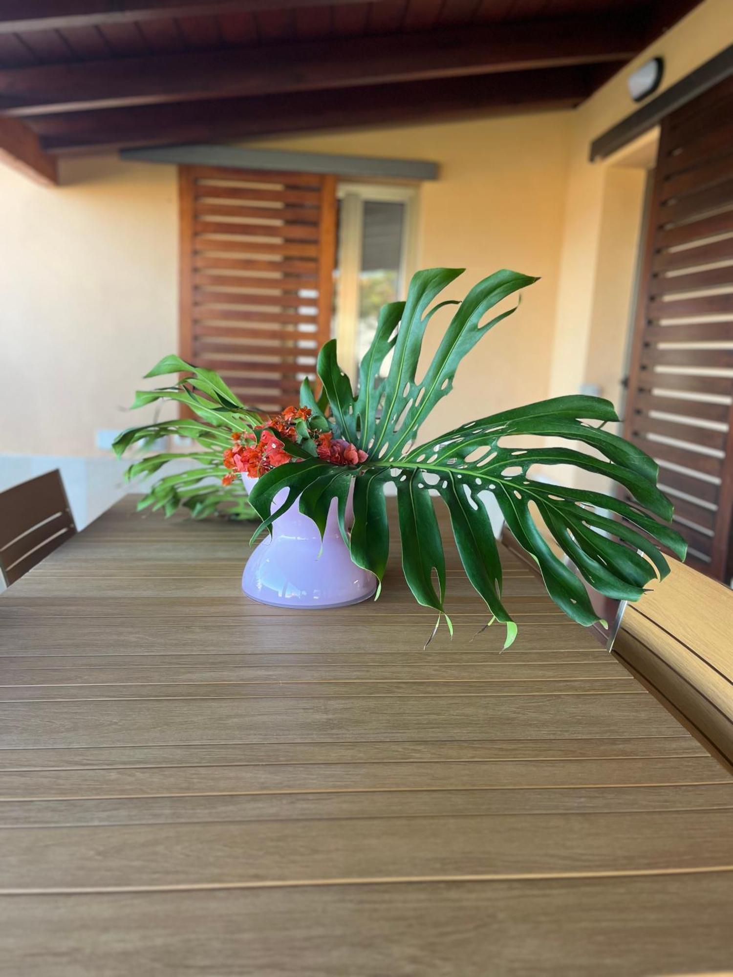 Casa Punta Del Viento Tenerife * El Pris