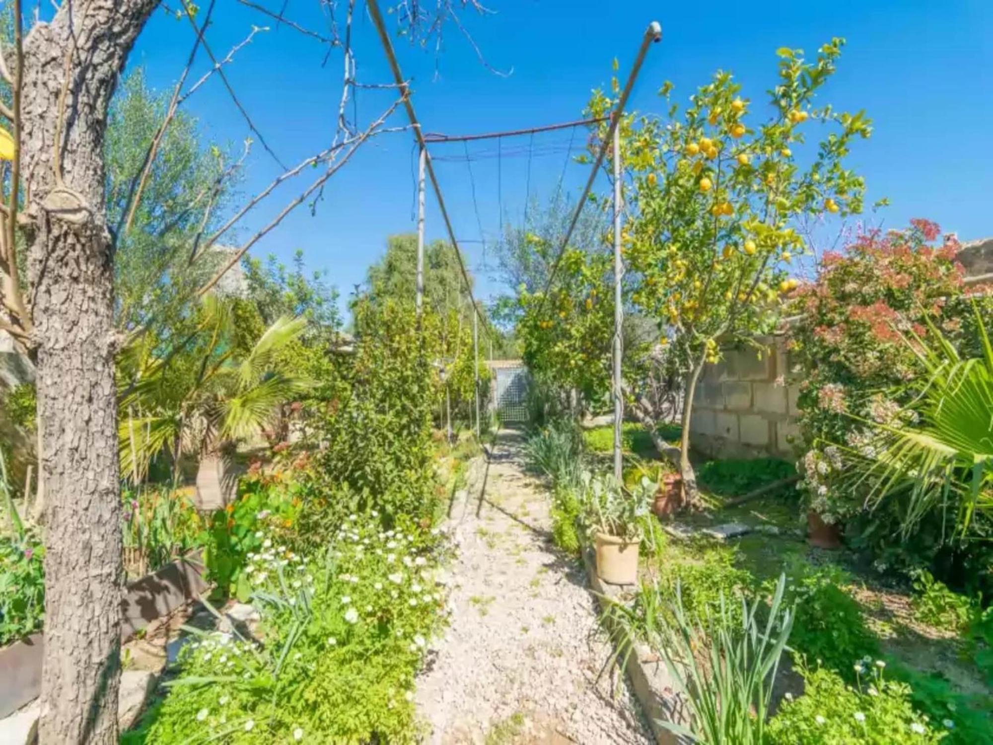 Construcciones Balaguer-villa With Private Pool *