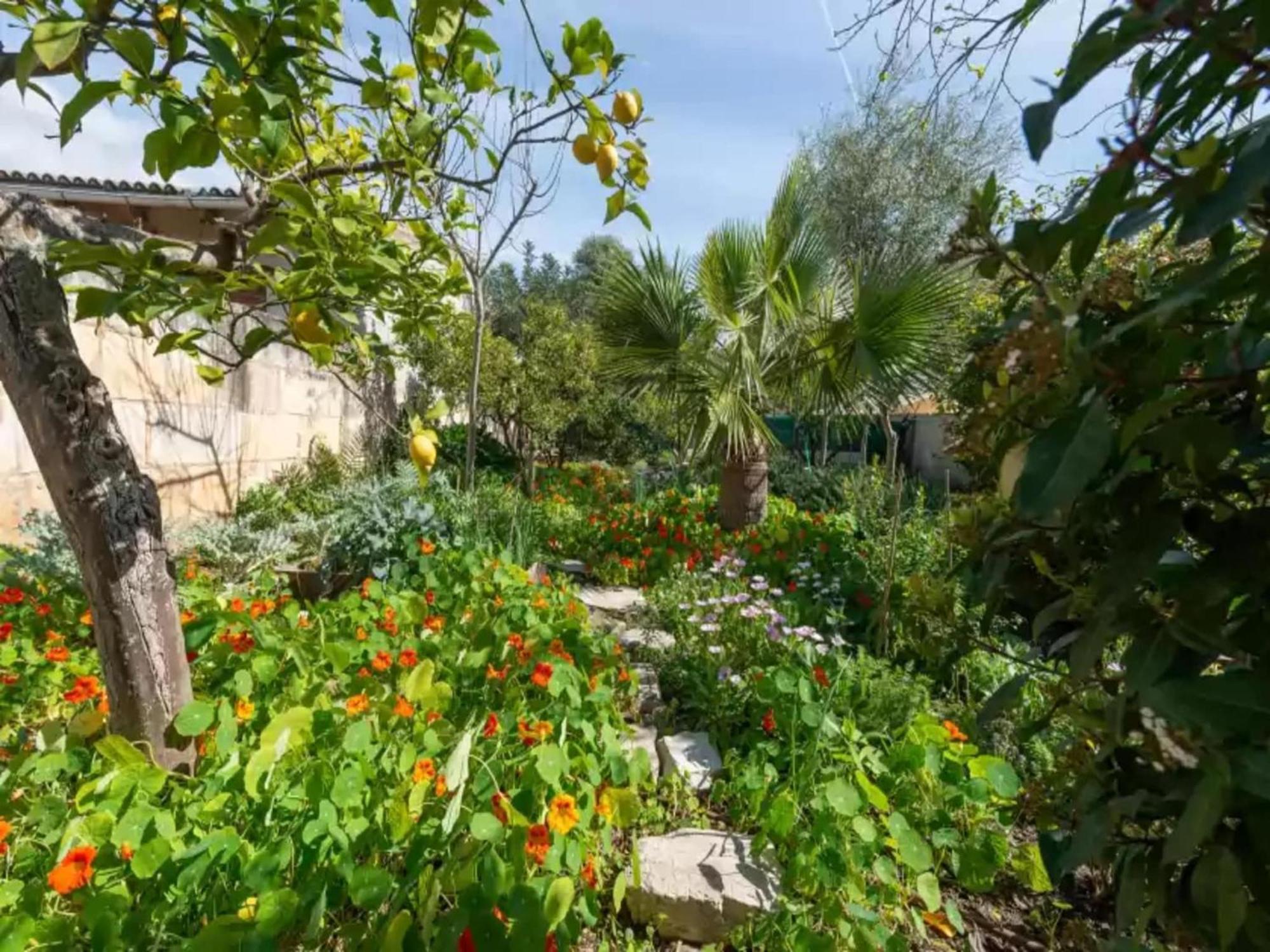 Villa Construcciones Balaguer-villa With Private Pool