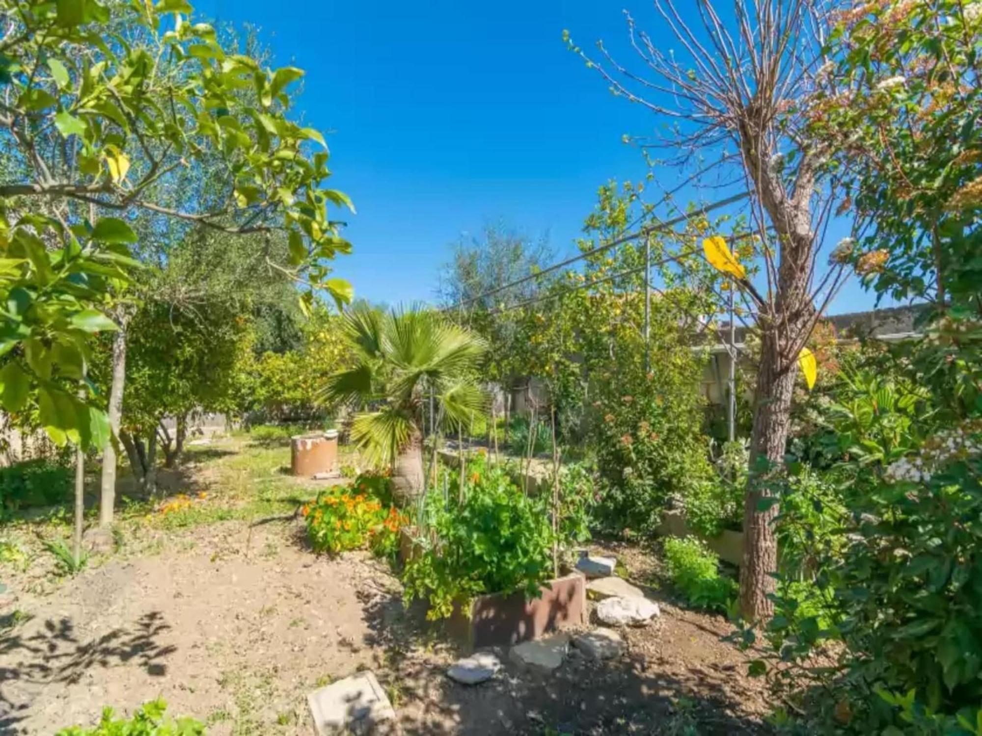 Villa Construcciones Balaguer-villa With Private Pool Mancor del Valle
