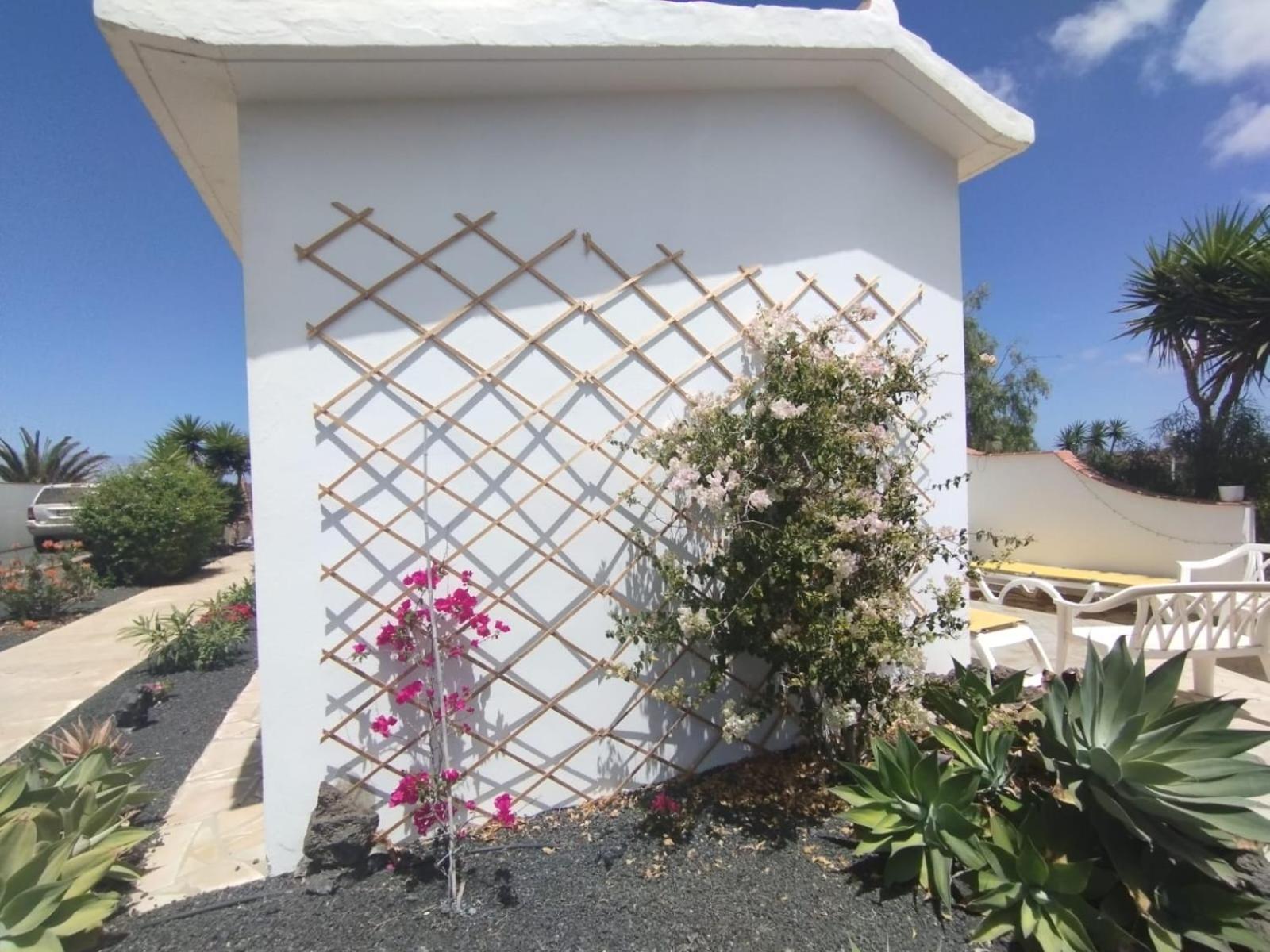Apartamento Casa Ina In El Roque, El Cotillo Roque