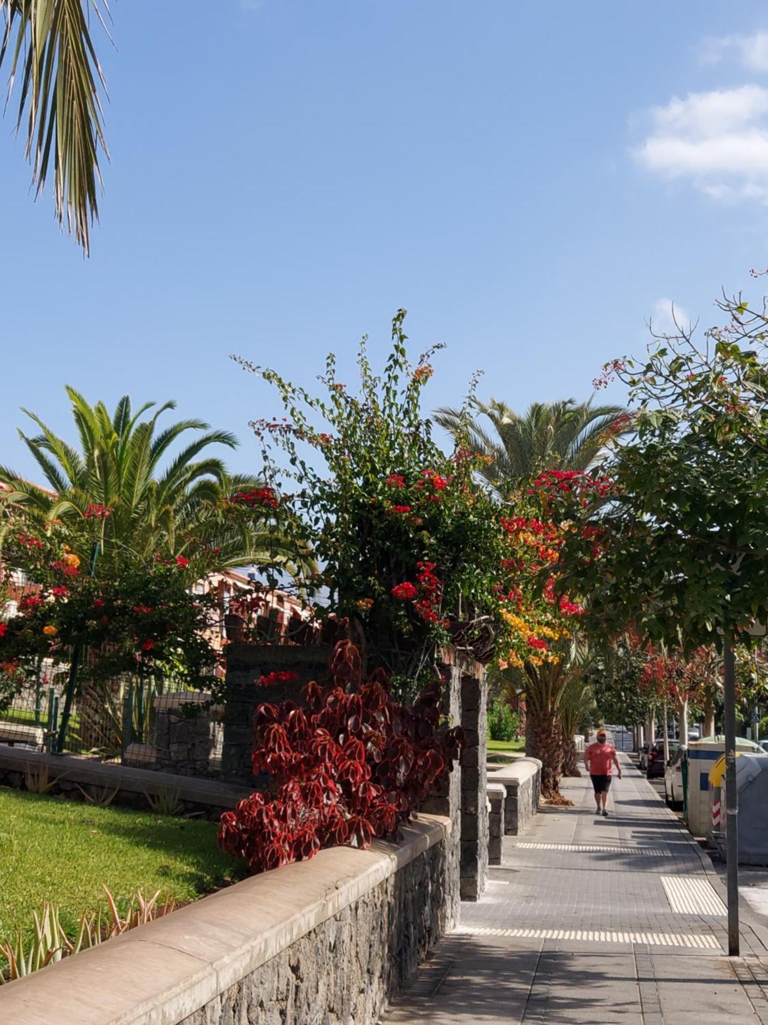 Tagoro Park Costa Del Silencio